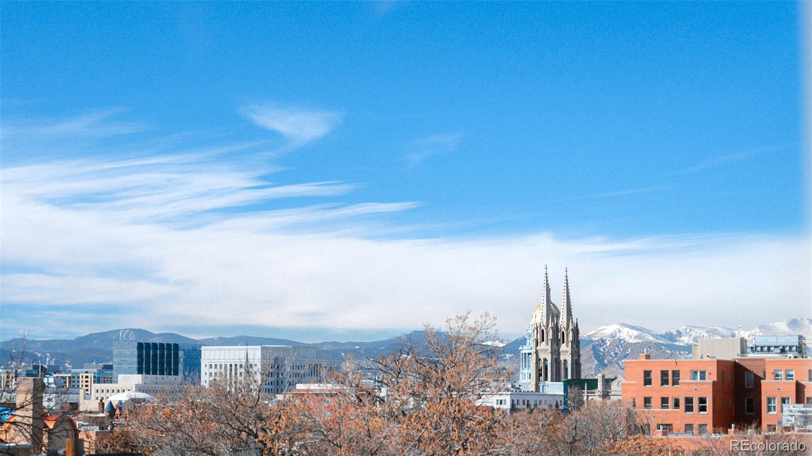 MLS Image #24 for 1699 n downing street,denver, Colorado