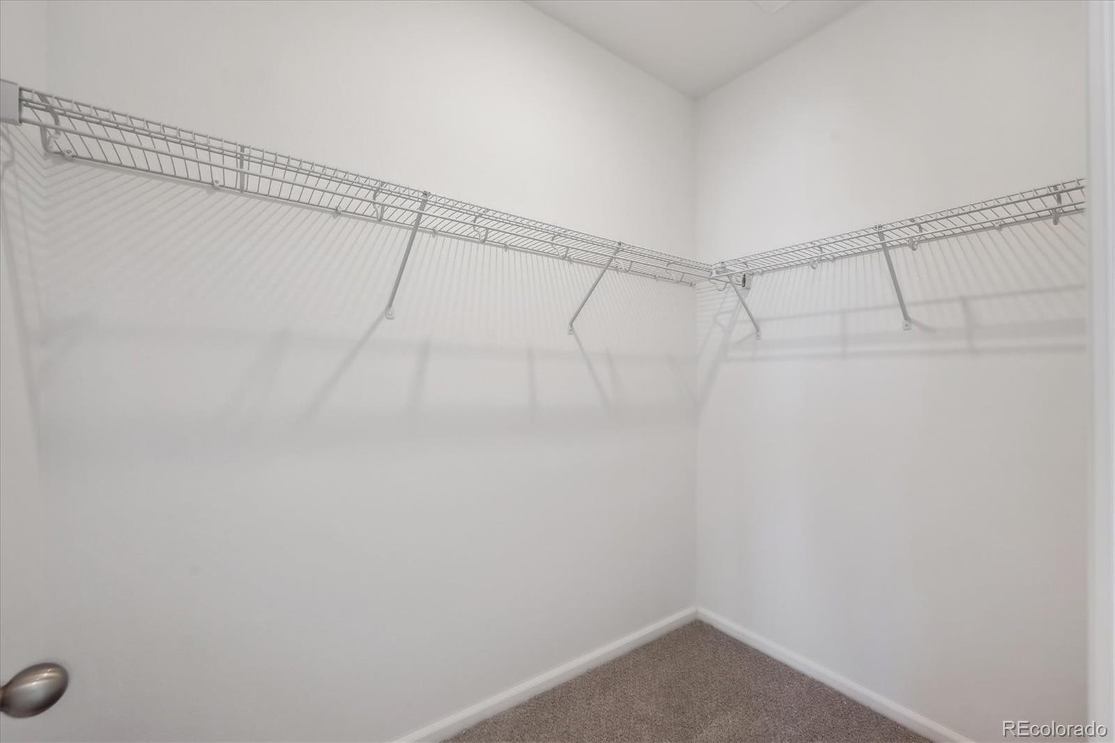 MLS Image #19 for 1238  penner drive,erie, Colorado