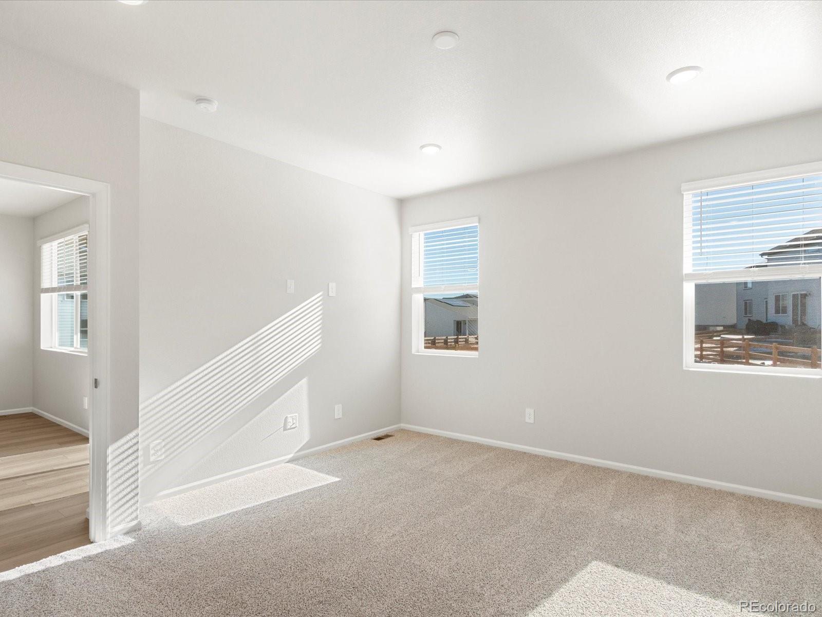 MLS Image #22 for 1123  gunnison river drive,windsor, Colorado
