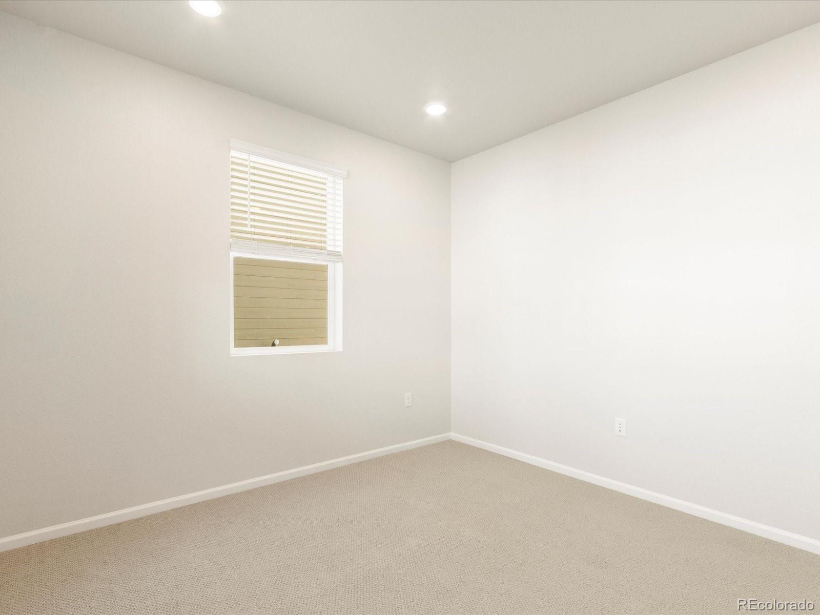 MLS Image #5 for 1654  rumley creek drive,windsor, Colorado