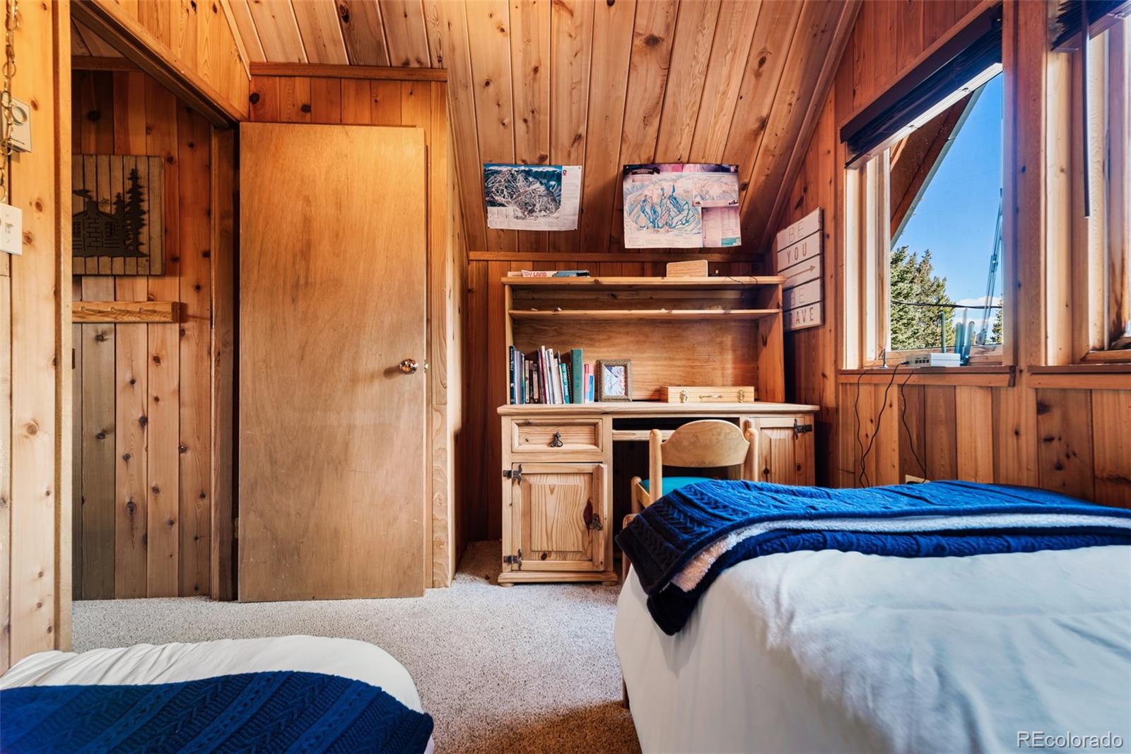 MLS Image #25 for 1248  mountain view drive,fairplay, Colorado
