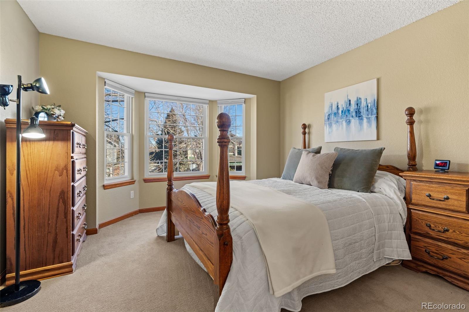 MLS Image #28 for 20954 e crestline place,centennial, Colorado