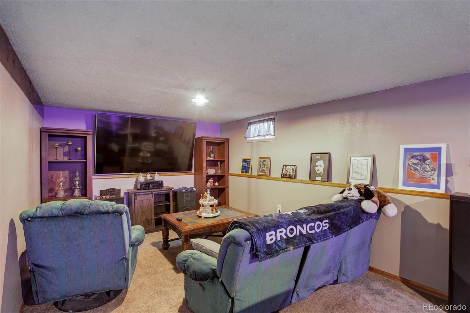 MLS Image #19 for 8377  mitze drive,denver, Colorado