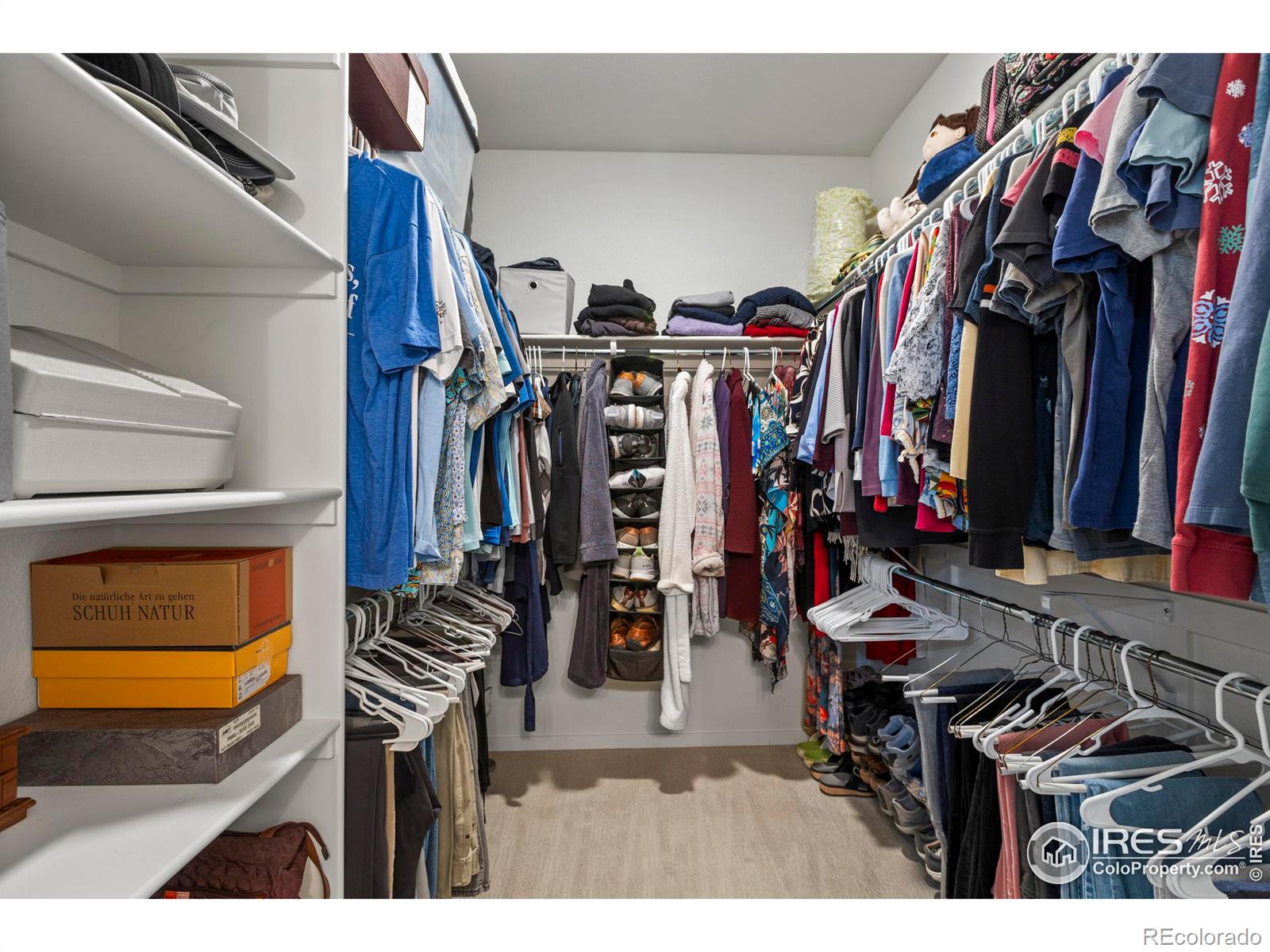 MLS Image #23 for 2700  san cristobal court,timnath, Colorado