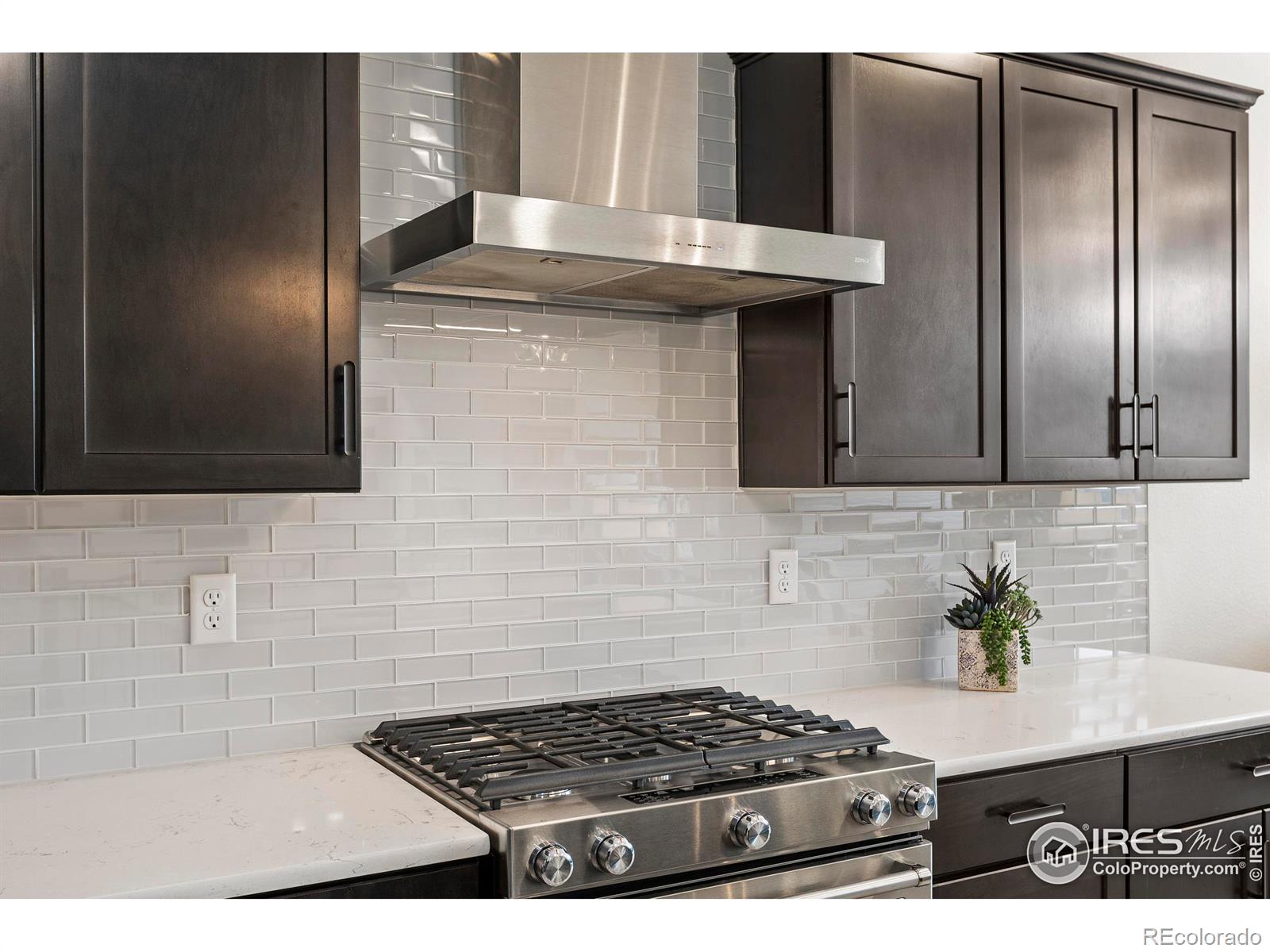 MLS Image #8 for 2700  san cristobal court,timnath, Colorado