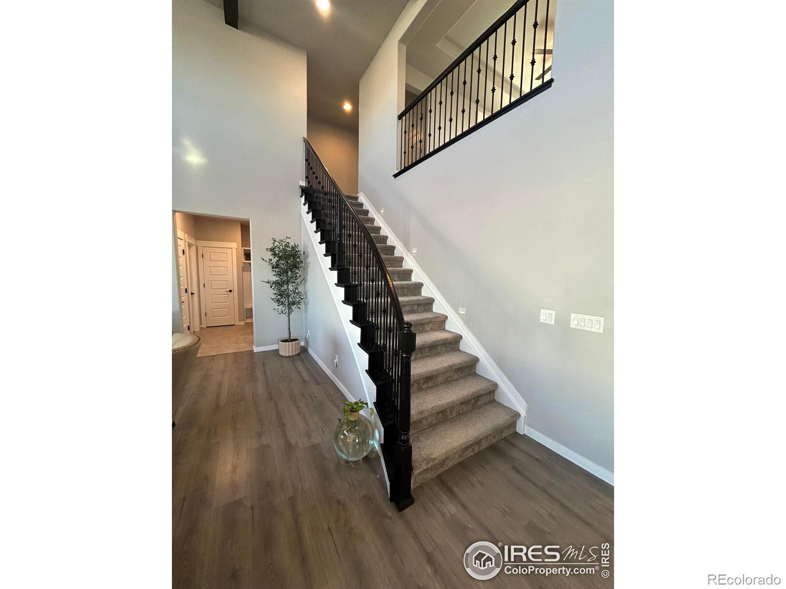 MLS Image #12 for 2092  falling leaf drive,windsor, Colorado