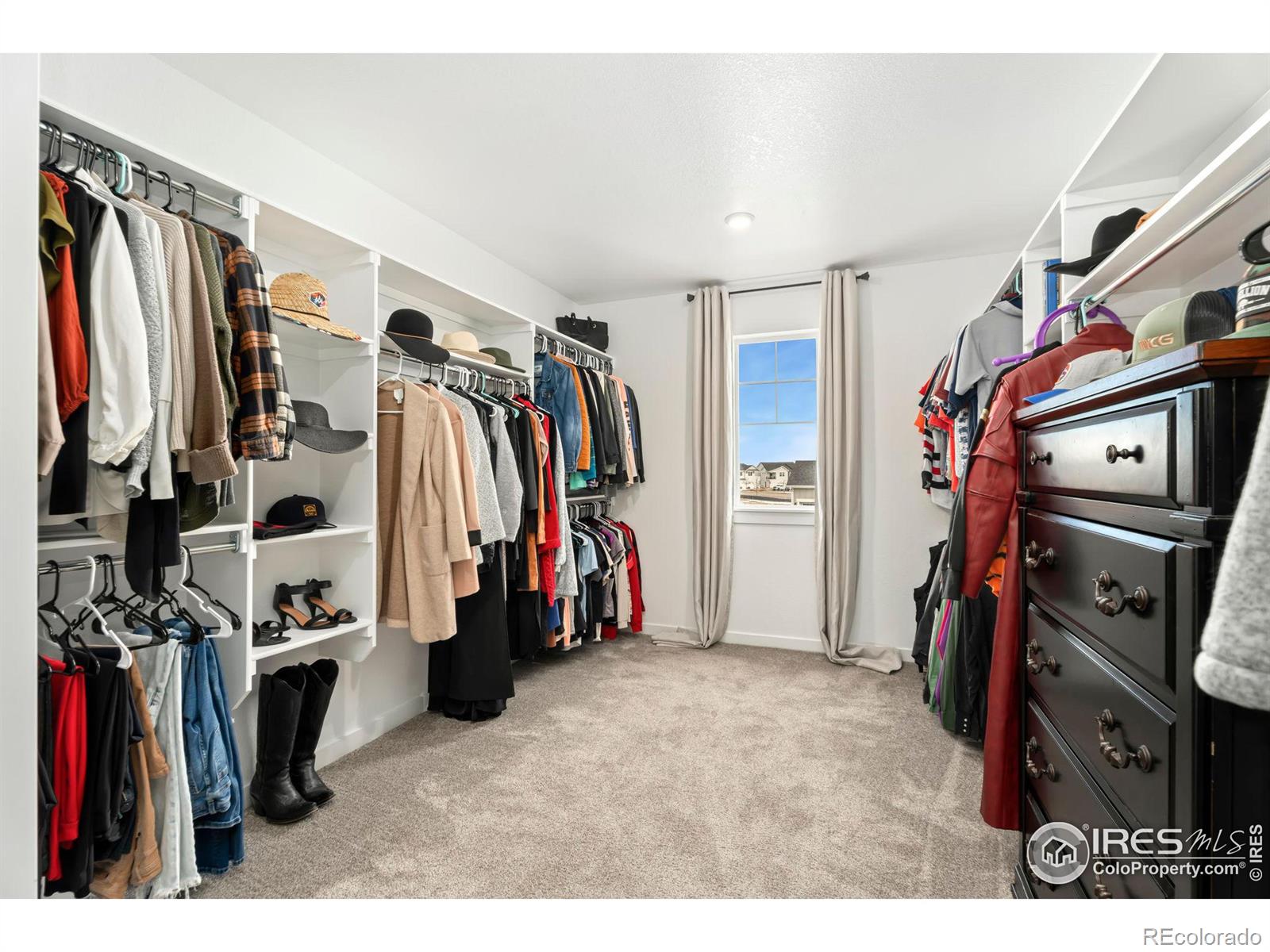 MLS Image #17 for 2092  falling leaf drive,windsor, Colorado