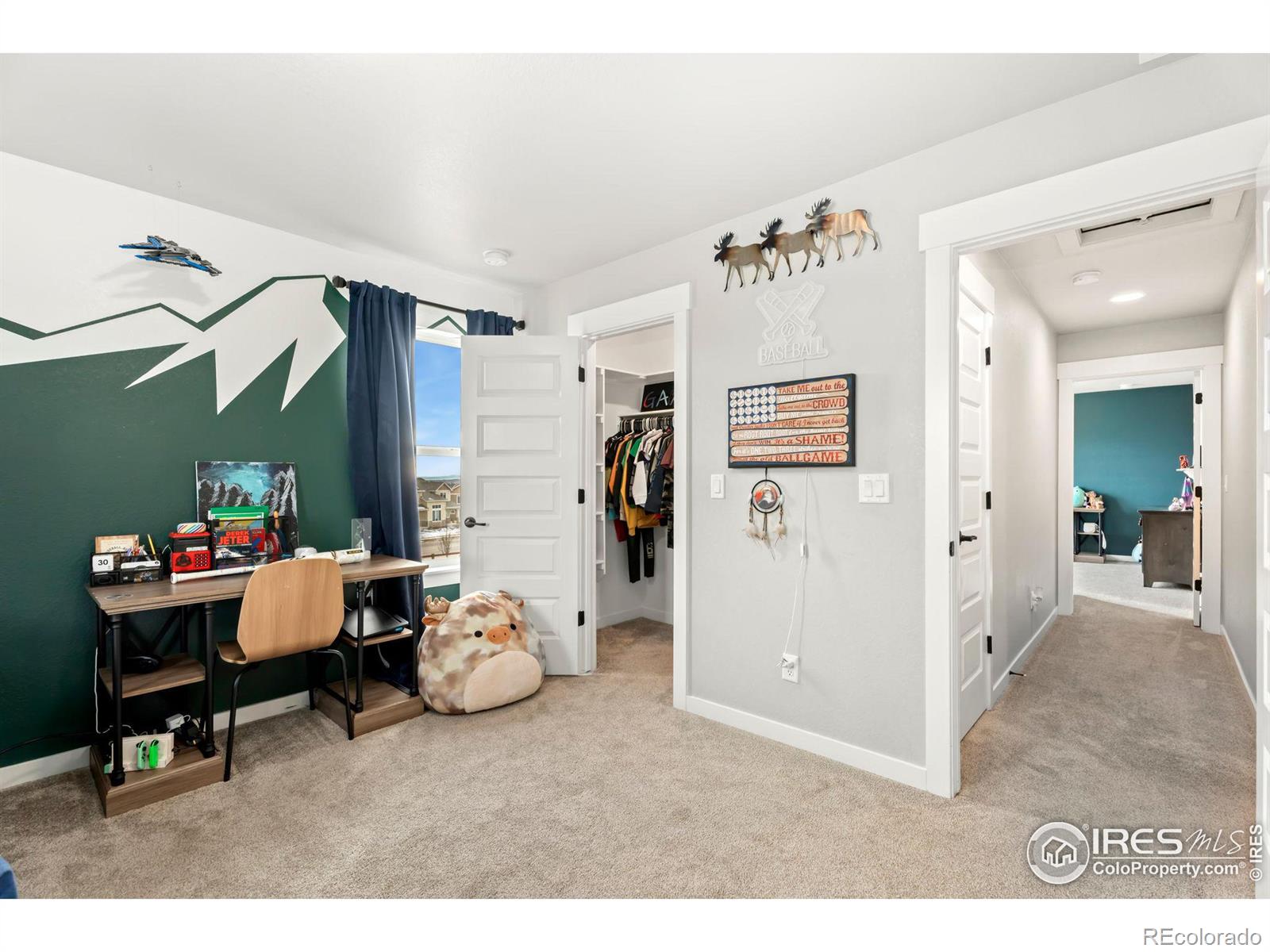 MLS Image #22 for 2092  falling leaf drive,windsor, Colorado