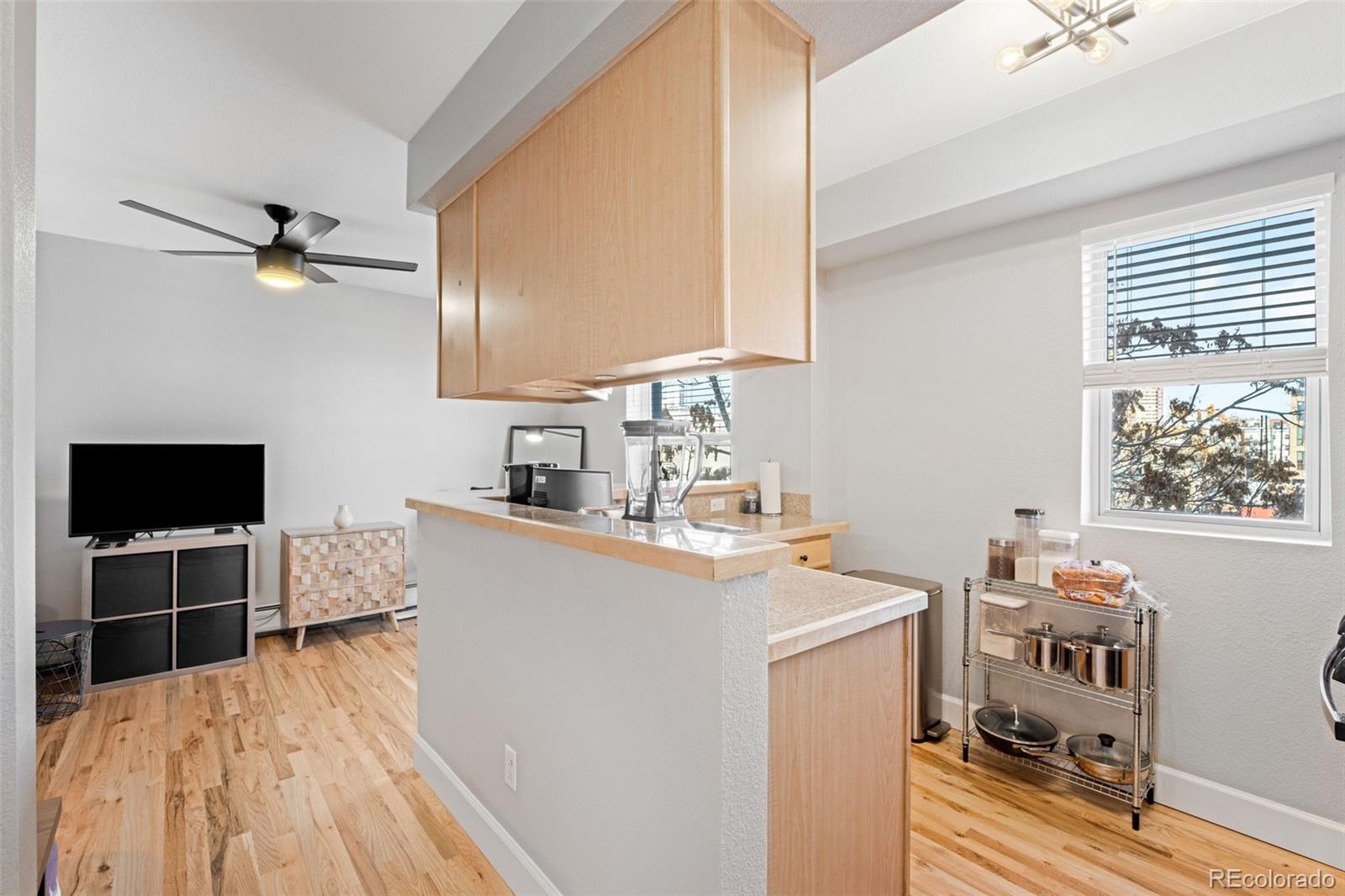Report Image for 1629 N Clarkson Street,Denver, Colorado