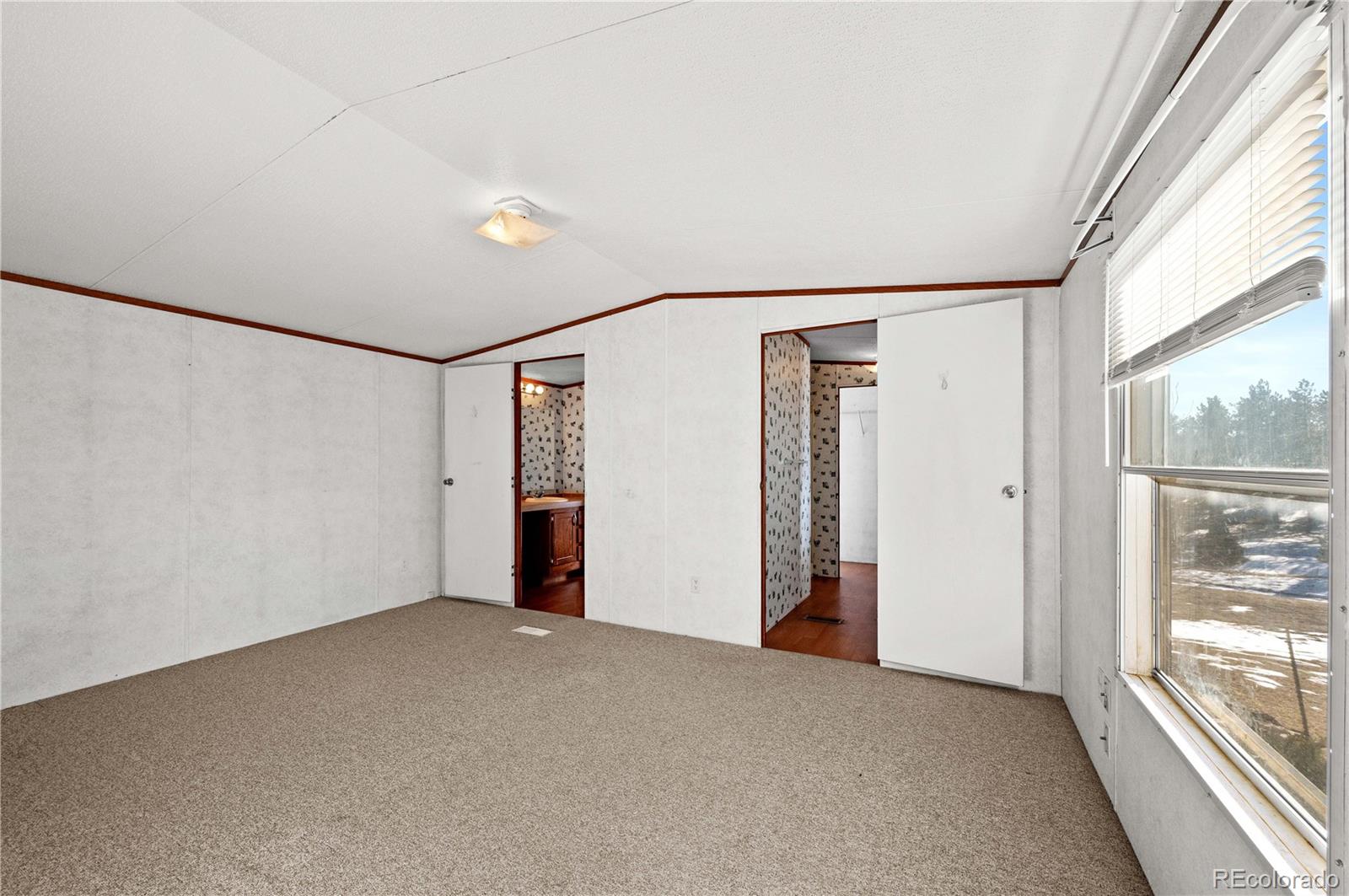 MLS Image #12 for 1772  tumbleweed road,cotopaxi, Colorado