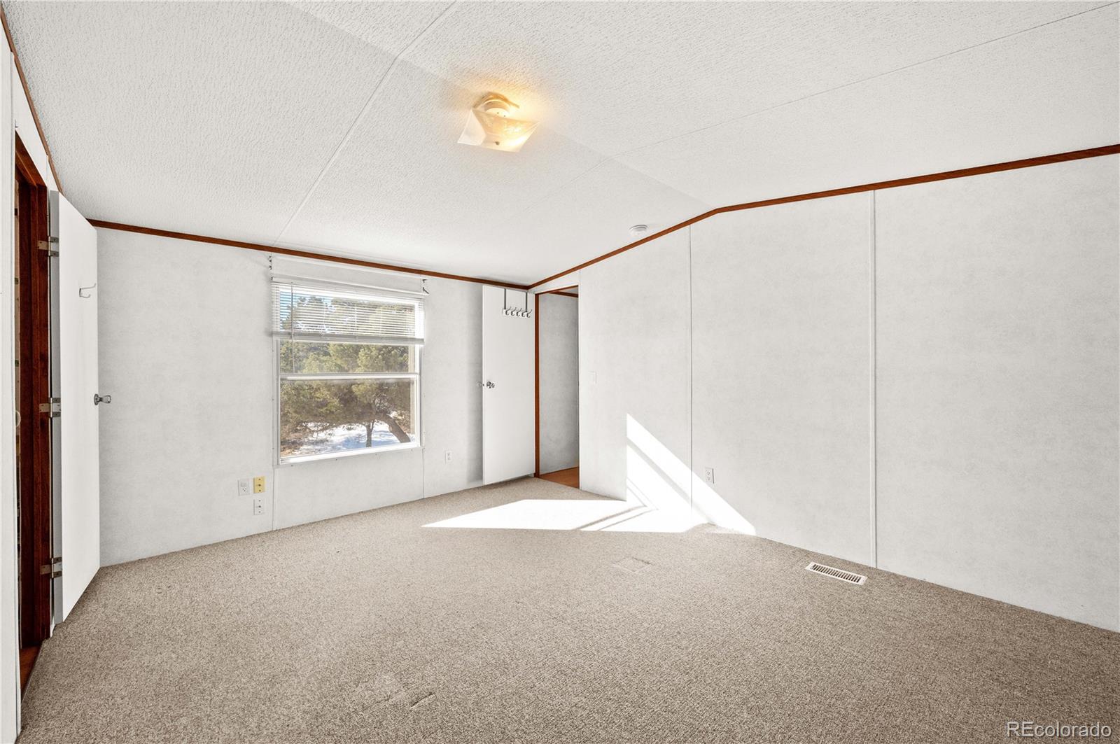 MLS Image #14 for 1772  tumbleweed road,cotopaxi, Colorado