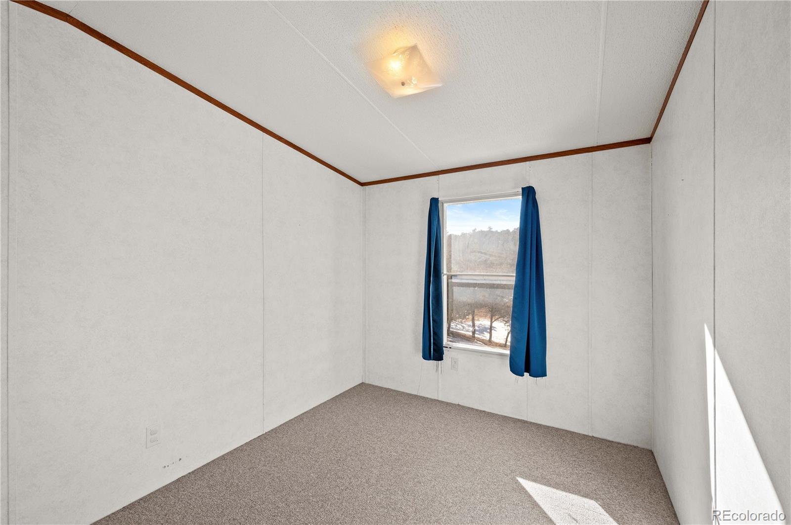 MLS Image #19 for 1772  tumbleweed road,cotopaxi, Colorado