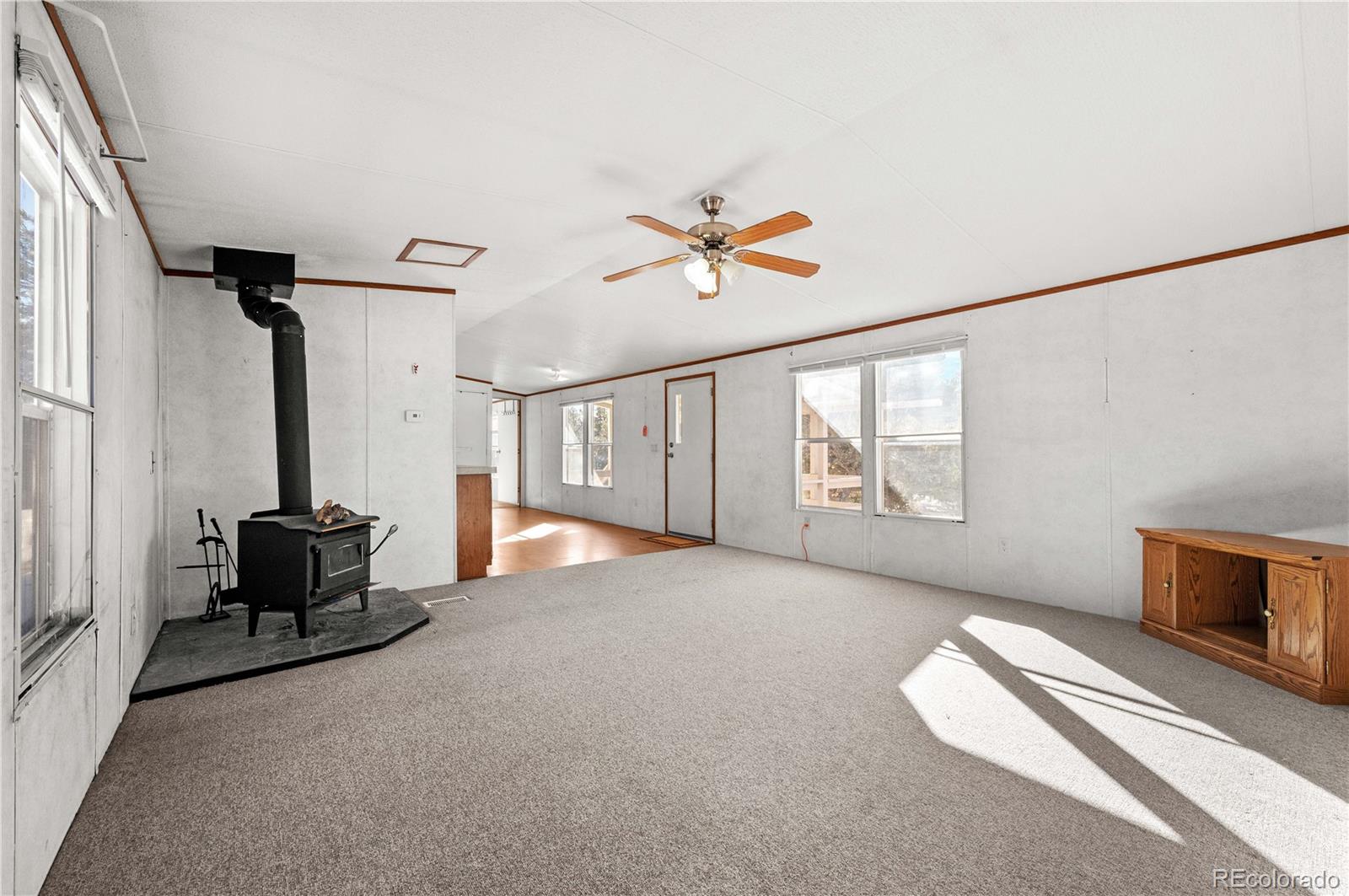 MLS Image #7 for 1772  tumbleweed road,cotopaxi, Colorado