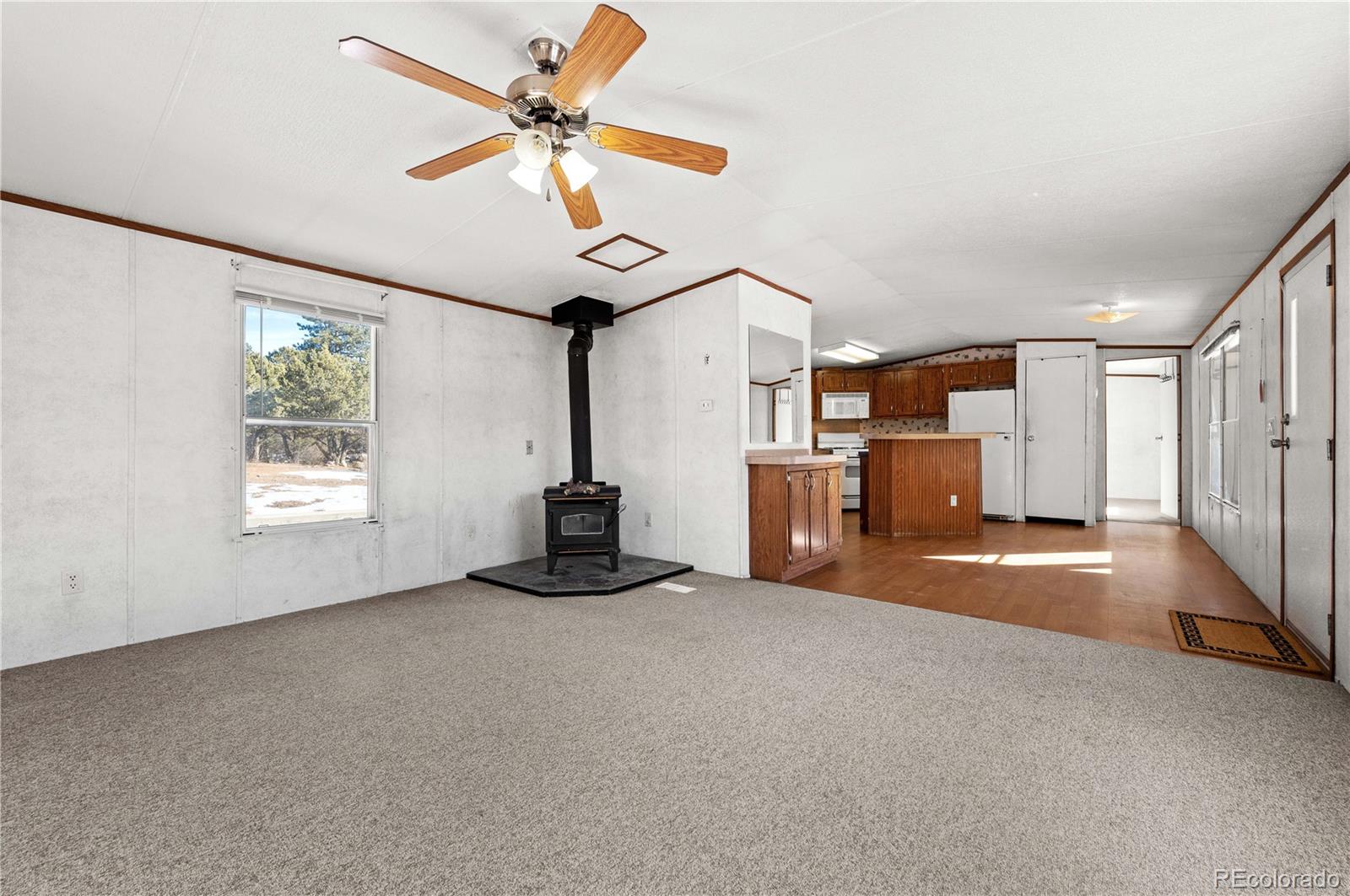 MLS Image #8 for 1772  tumbleweed road,cotopaxi, Colorado