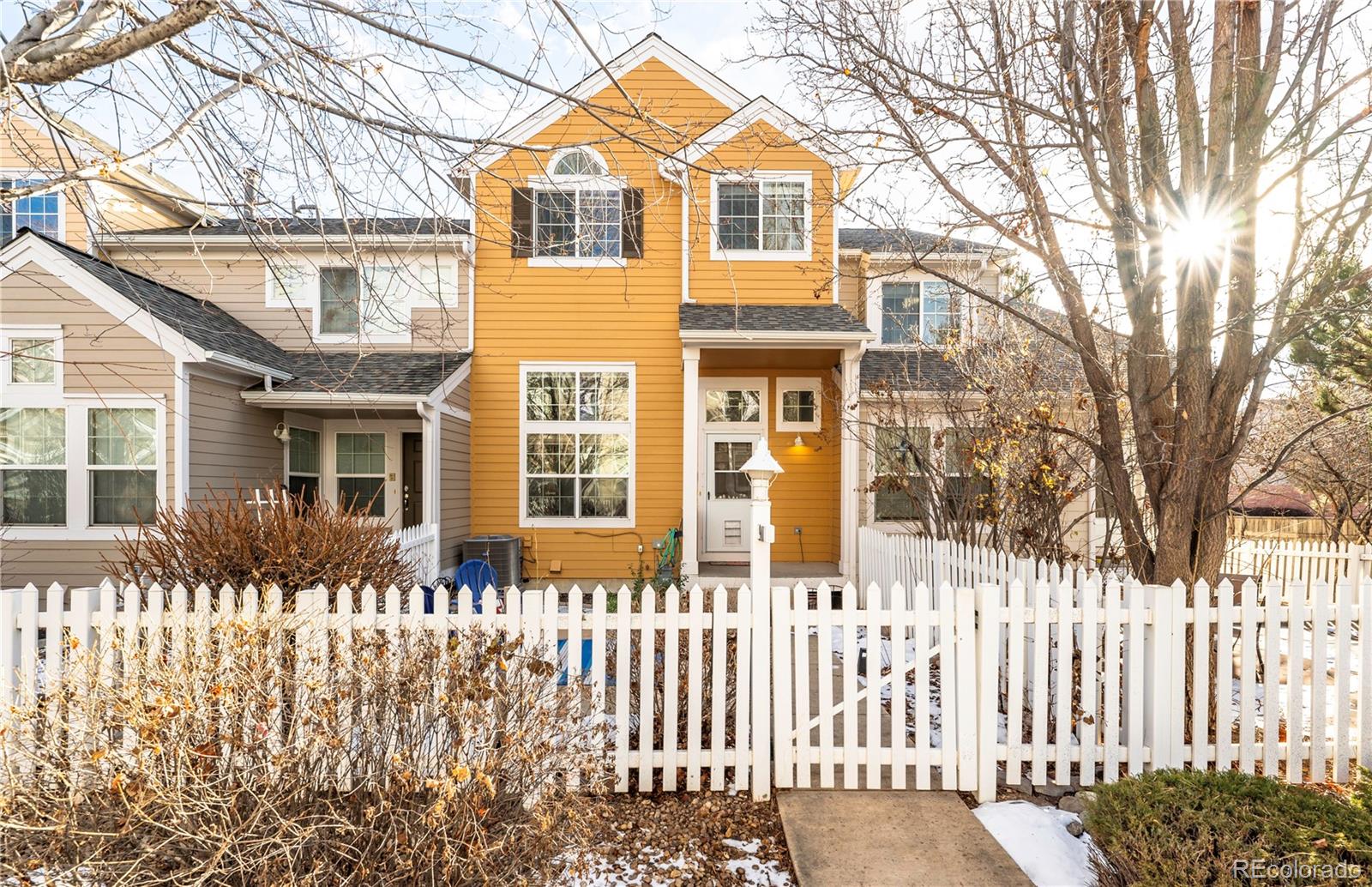 Report Image for 911  Snowberry Street,Longmont, Colorado