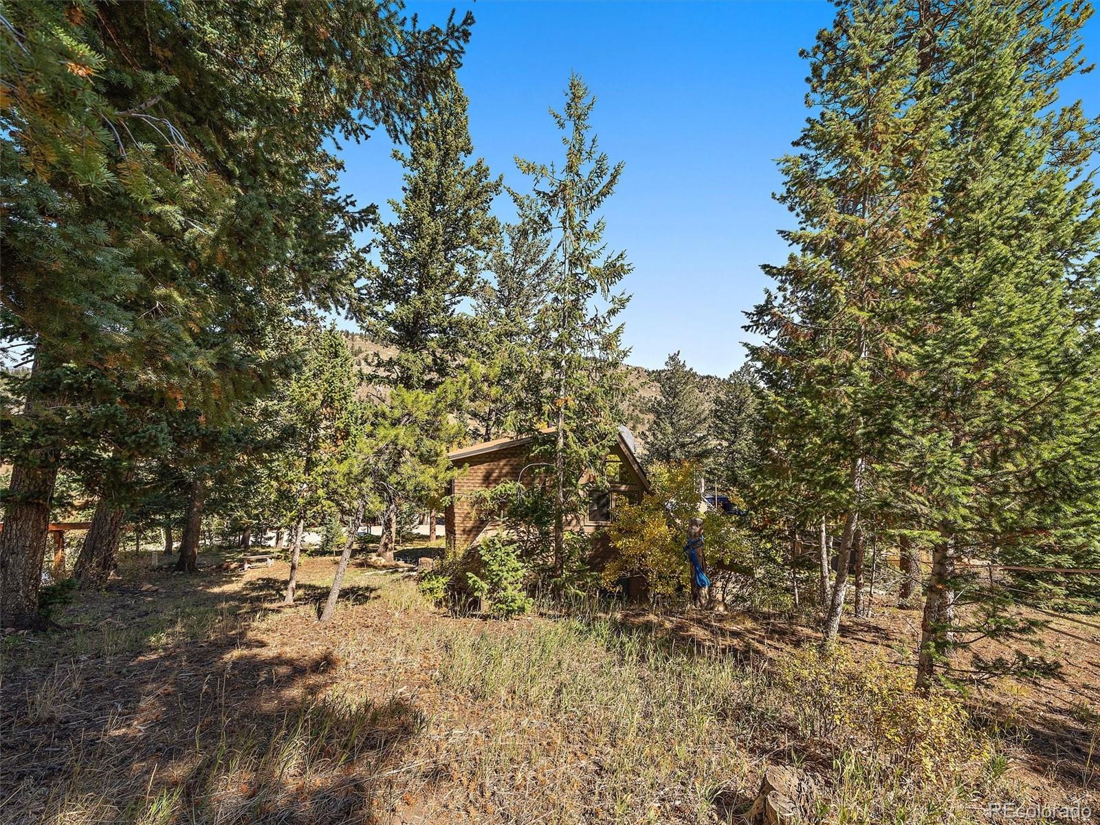 MLS Image #24 for 513  hyland drive,evergreen, Colorado