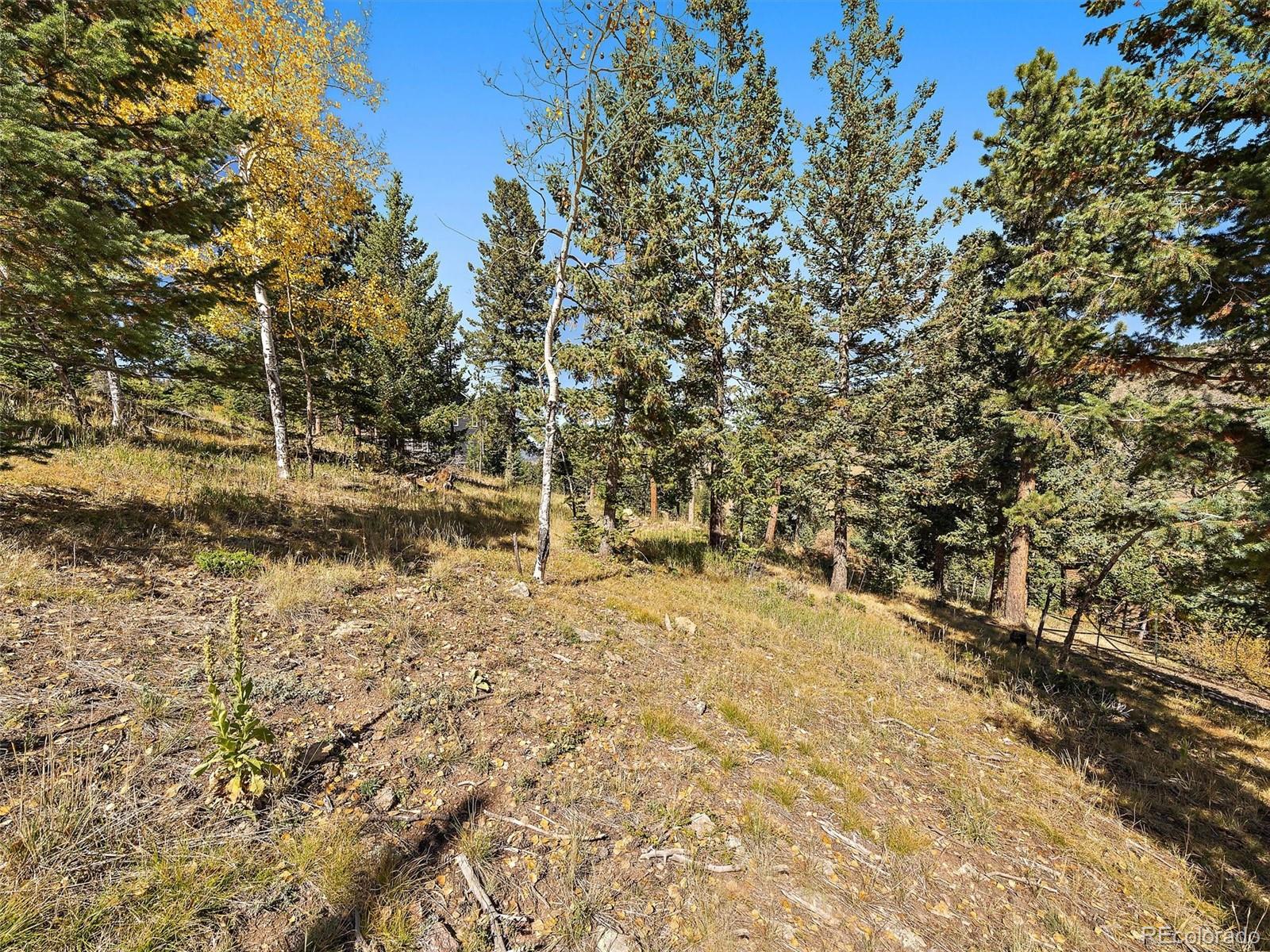 MLS Image #25 for 513  hyland drive,evergreen, Colorado