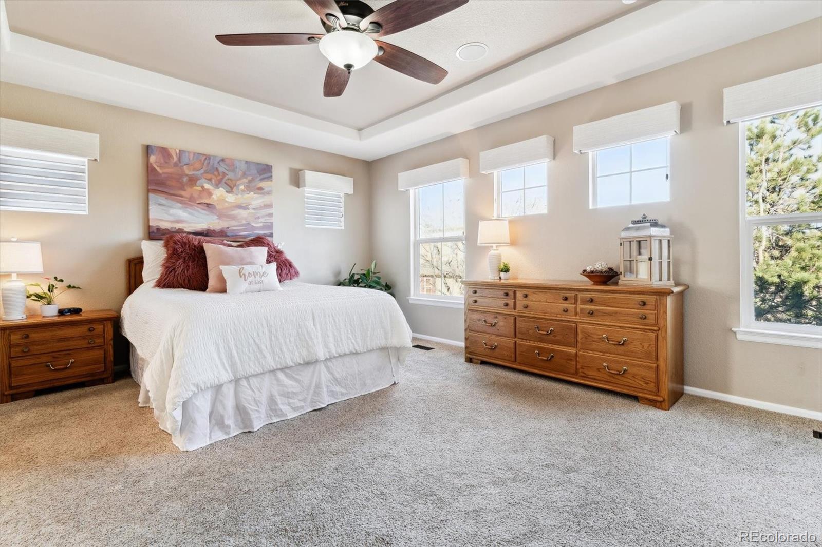 MLS Image #16 for 10654  ashfield street,highlands ranch, Colorado