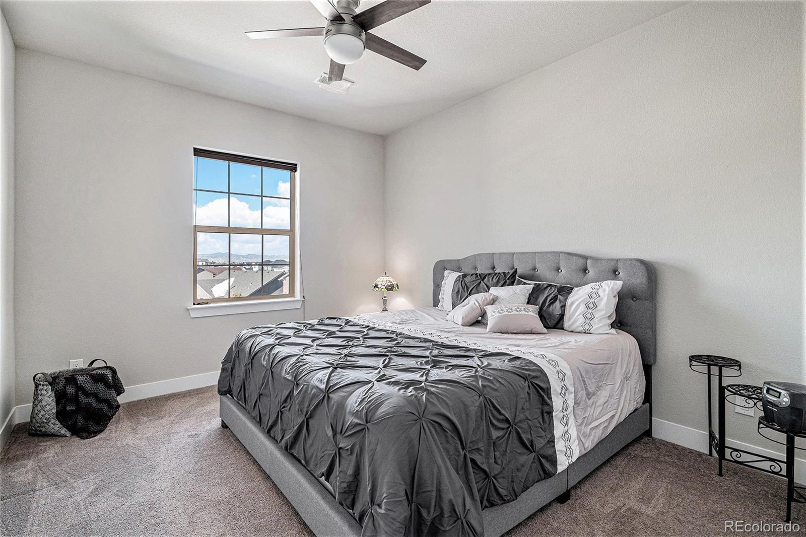 MLS Image #29 for 11898  discovery circle,parker, Colorado