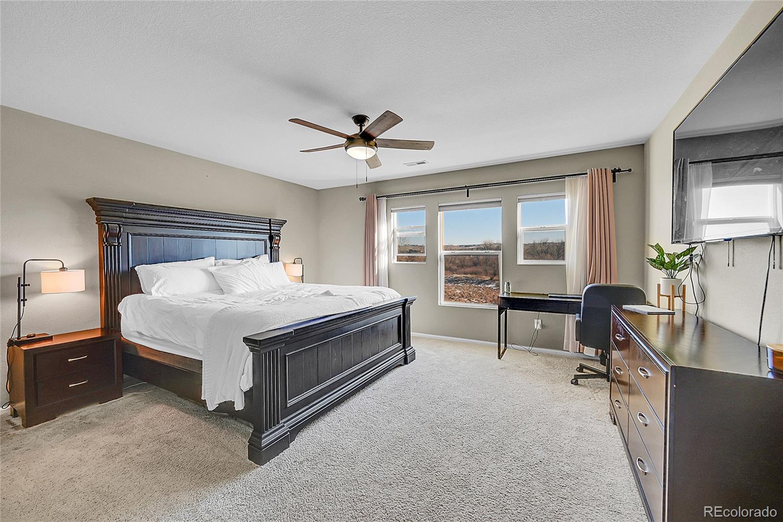 MLS Image #17 for 17337  waterhouse circle b,parker, Colorado