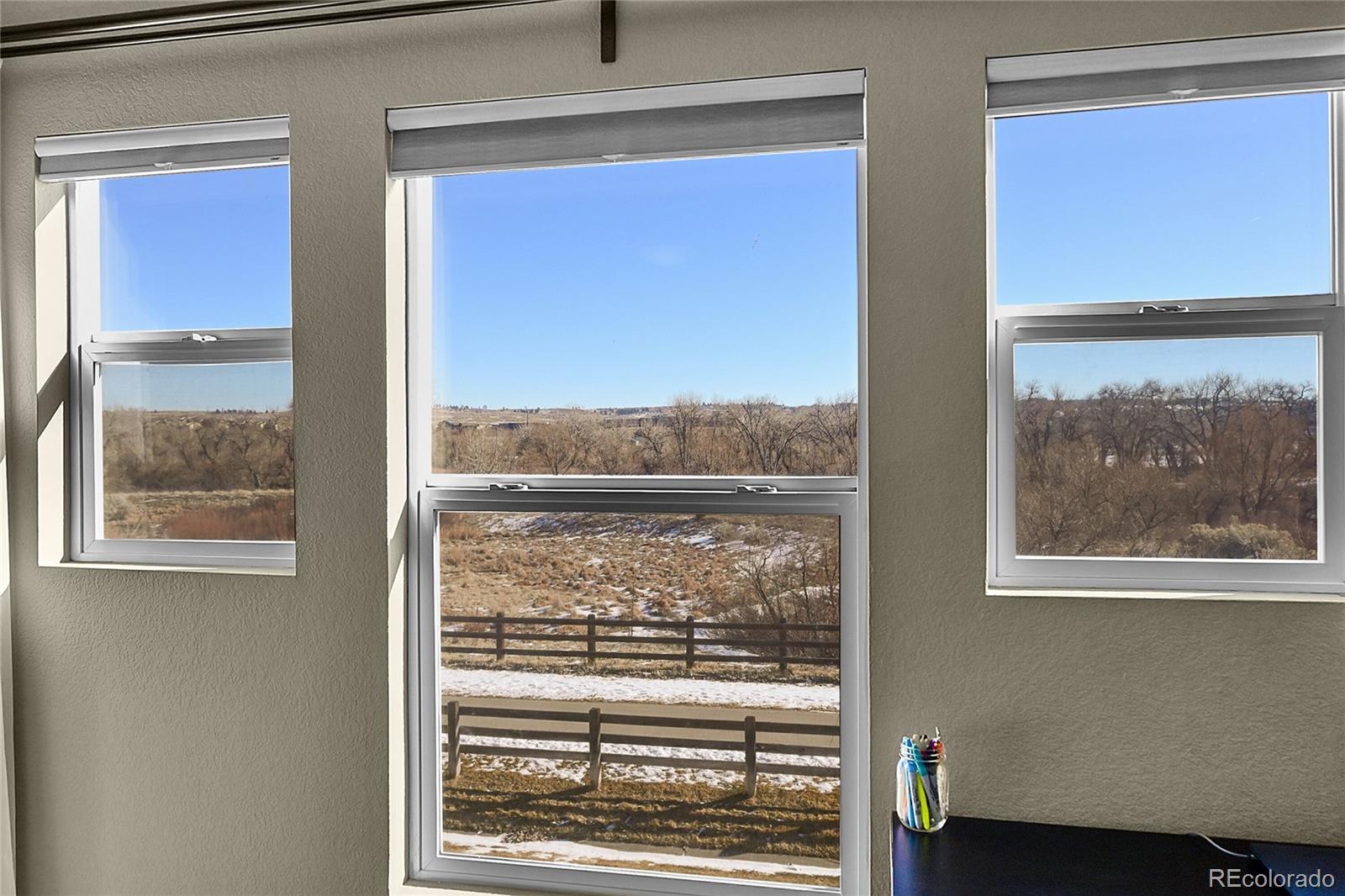 MLS Image #18 for 17337  waterhouse circle b,parker, Colorado