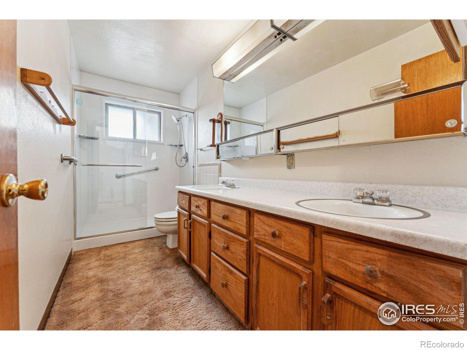 MLS Image #19 for 115  17th avenue,longmont, Colorado