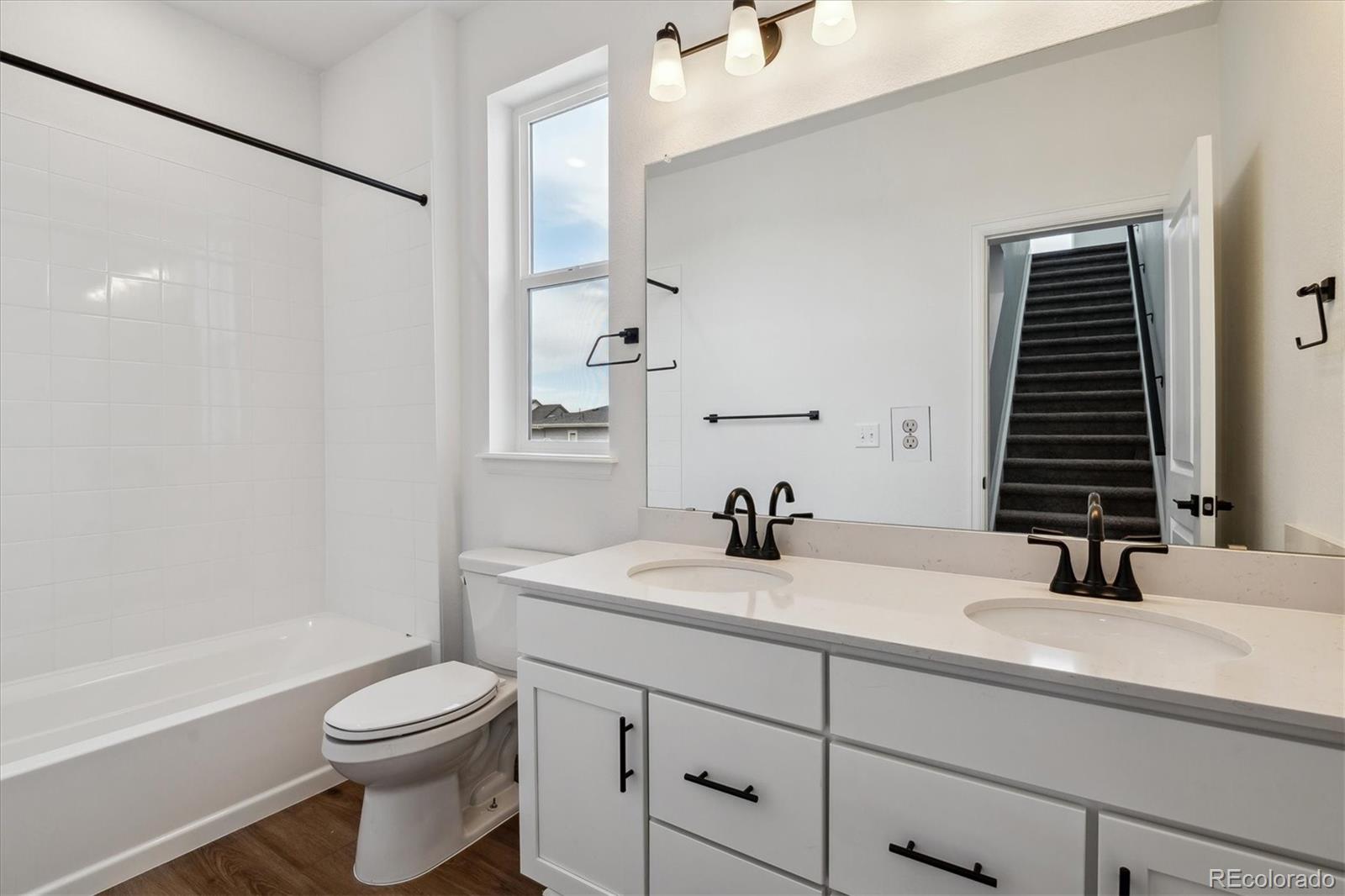 MLS Image #13 for 8498  eagle river street,littleton, Colorado