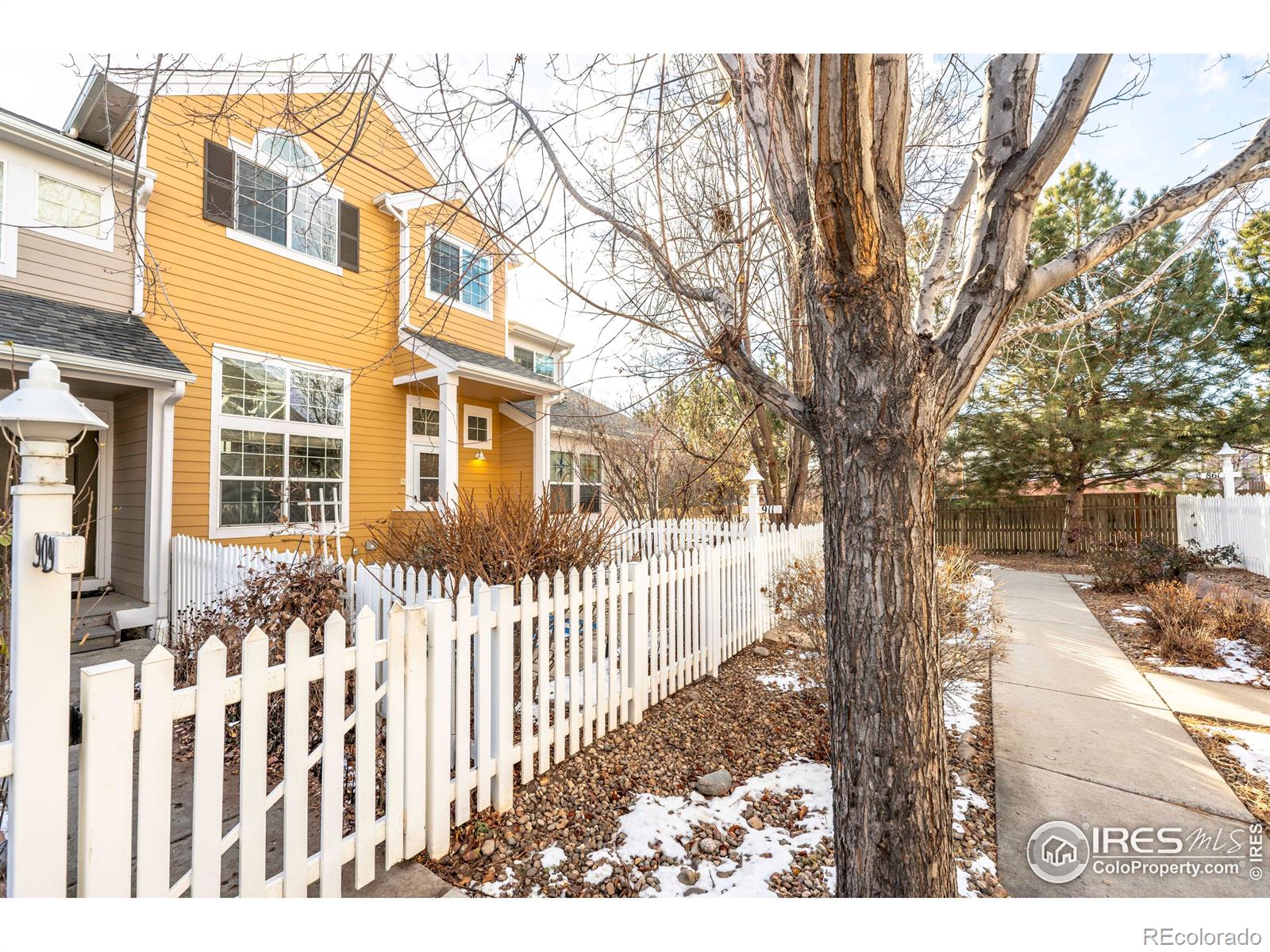 MLS Image #1 for 911  snowberry street,longmont, Colorado