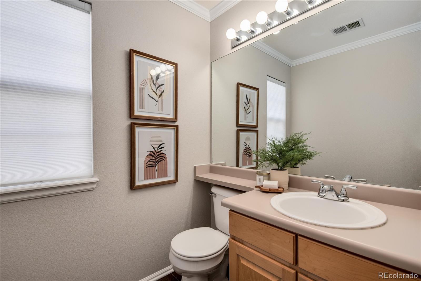 MLS Image #8 for 18997 e crestridge circle,aurora, Colorado