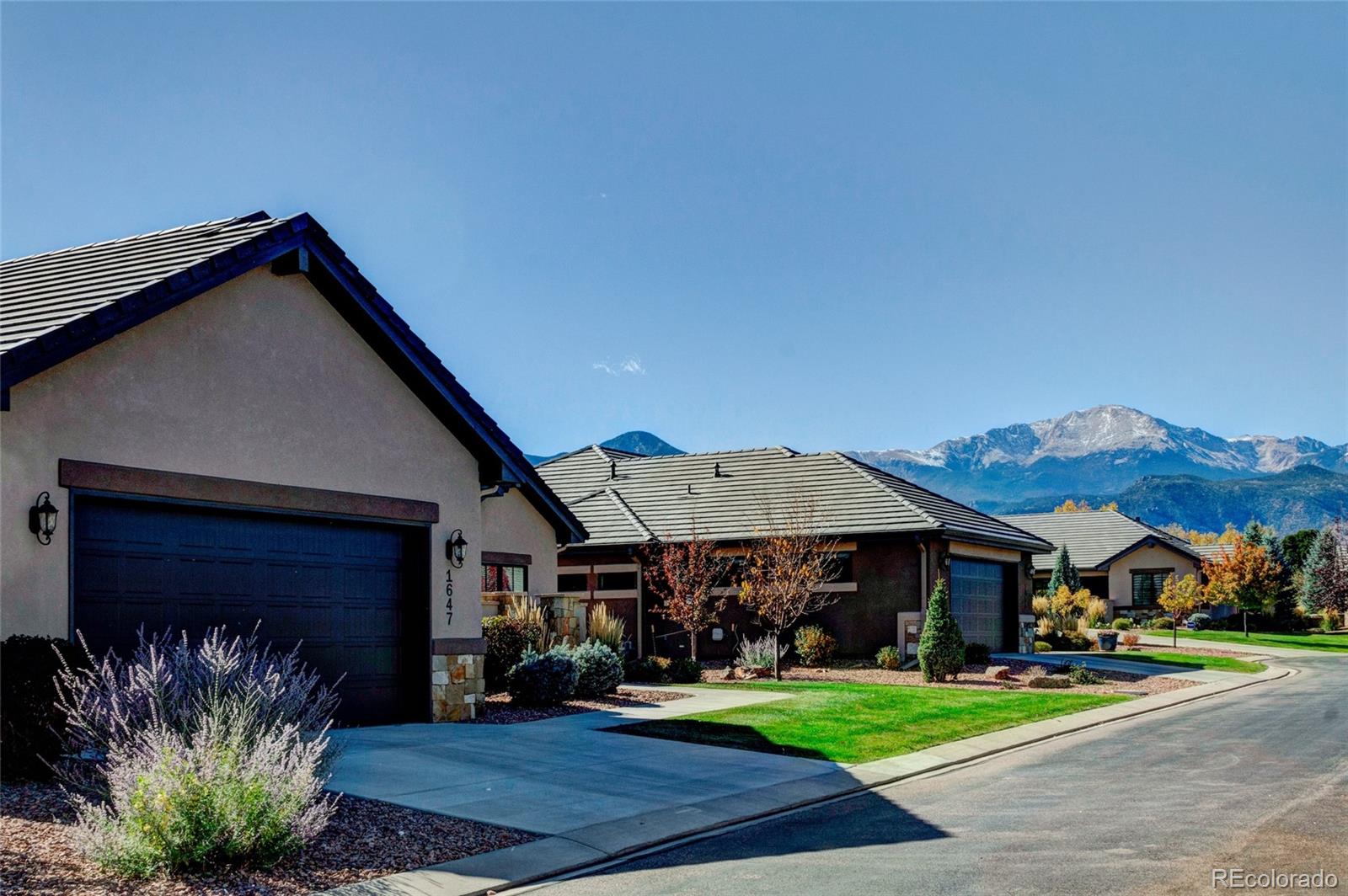 MLS Image #6 for 1647  rockview trail,colorado springs, Colorado