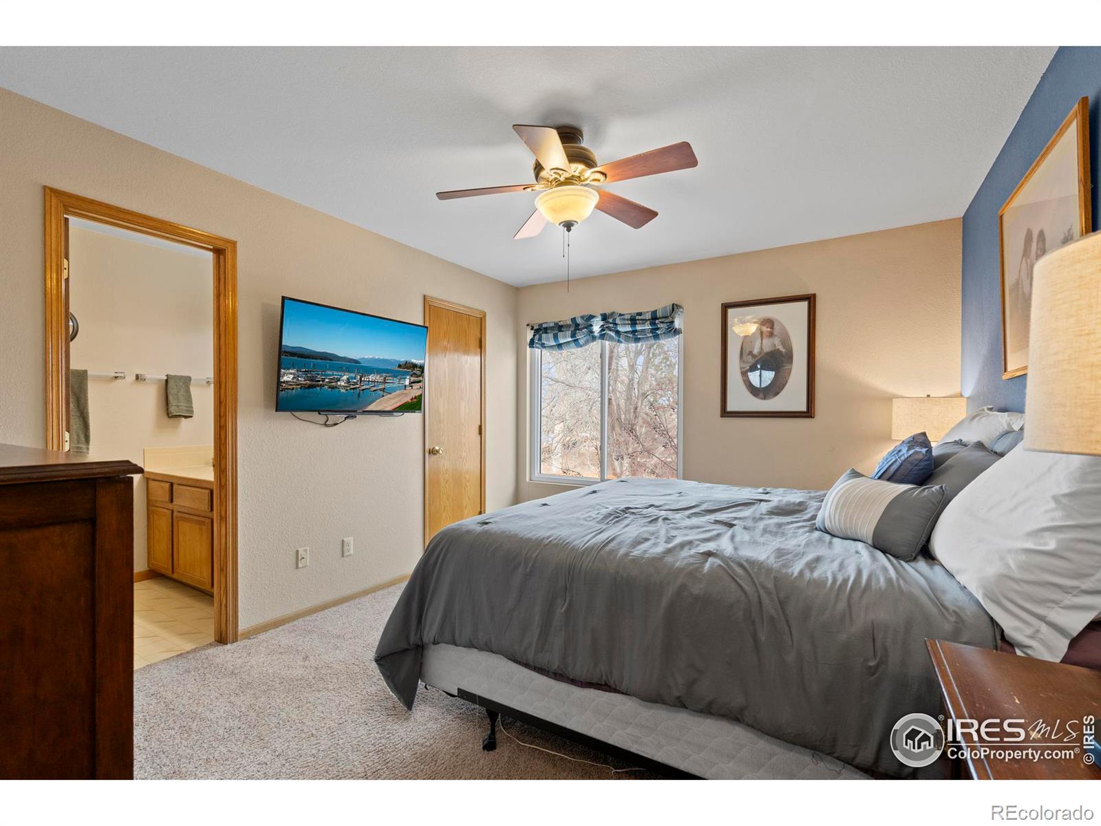 MLS Image #19 for 1554  birmingham drive,fort collins, Colorado