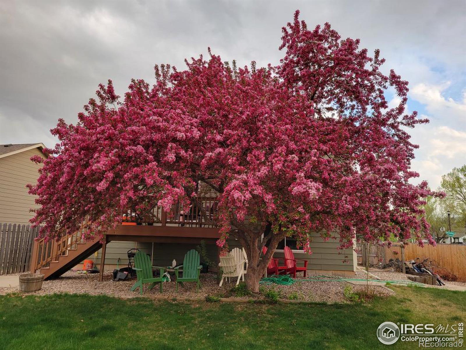 MLS Image #26 for 1554  birmingham drive,fort collins, Colorado