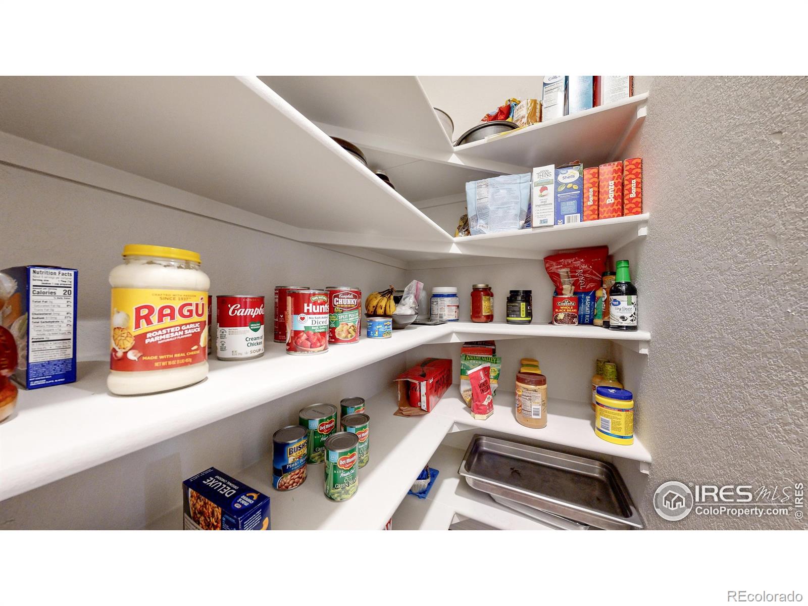 MLS Image #14 for 5043  blanchette street,timnath, Colorado