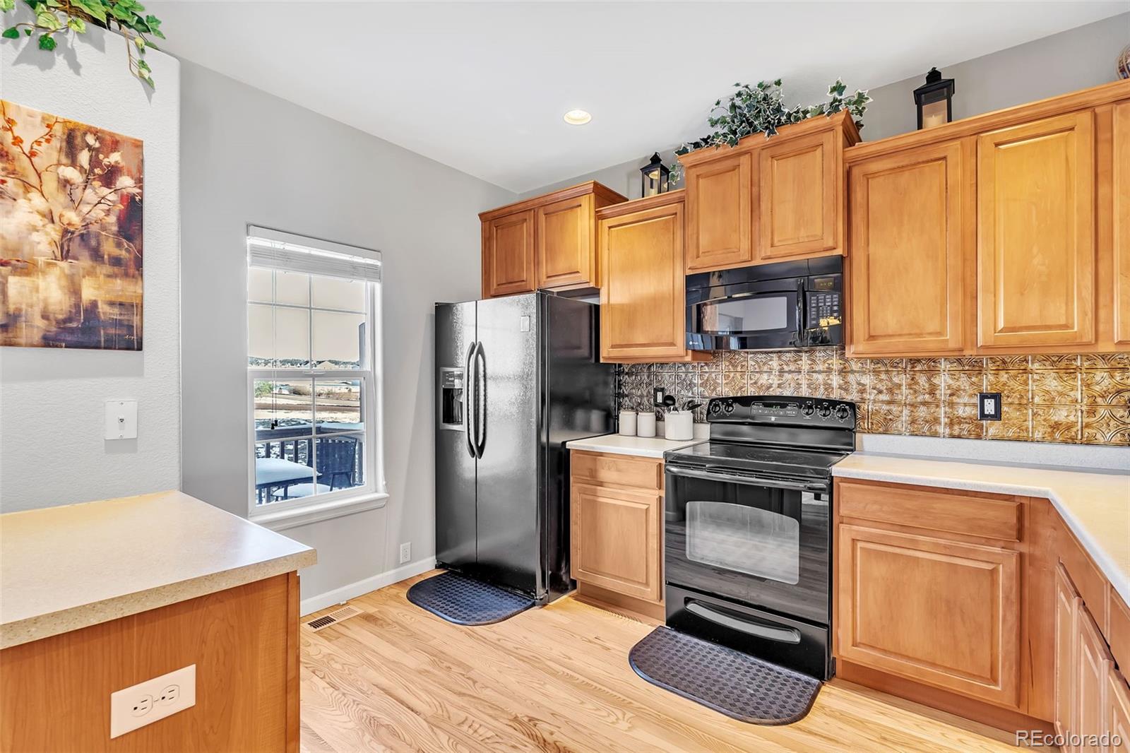 MLS Image #16 for 909  burning bush point,monument, Colorado