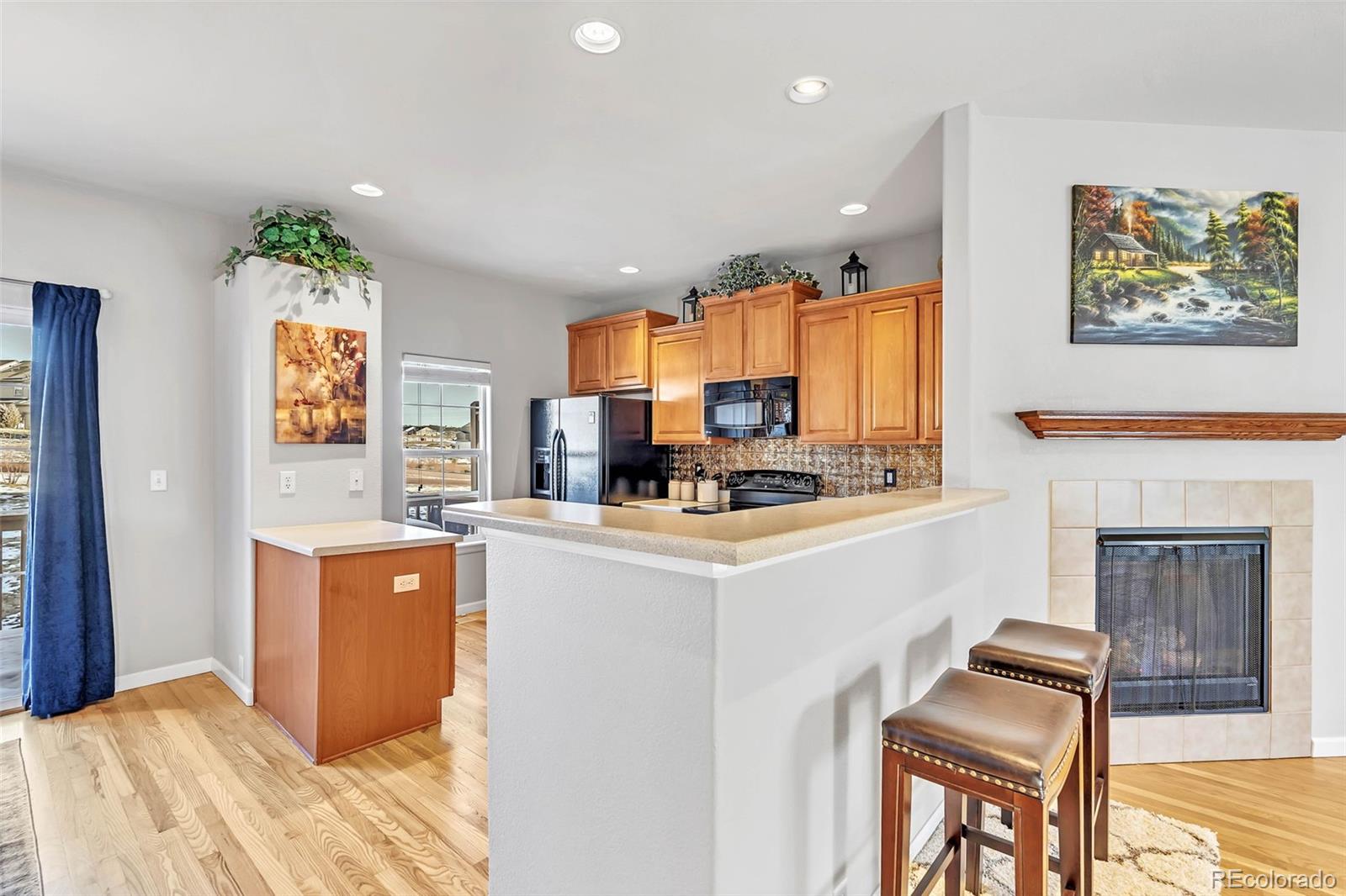 MLS Image #23 for 909  burning bush point,monument, Colorado
