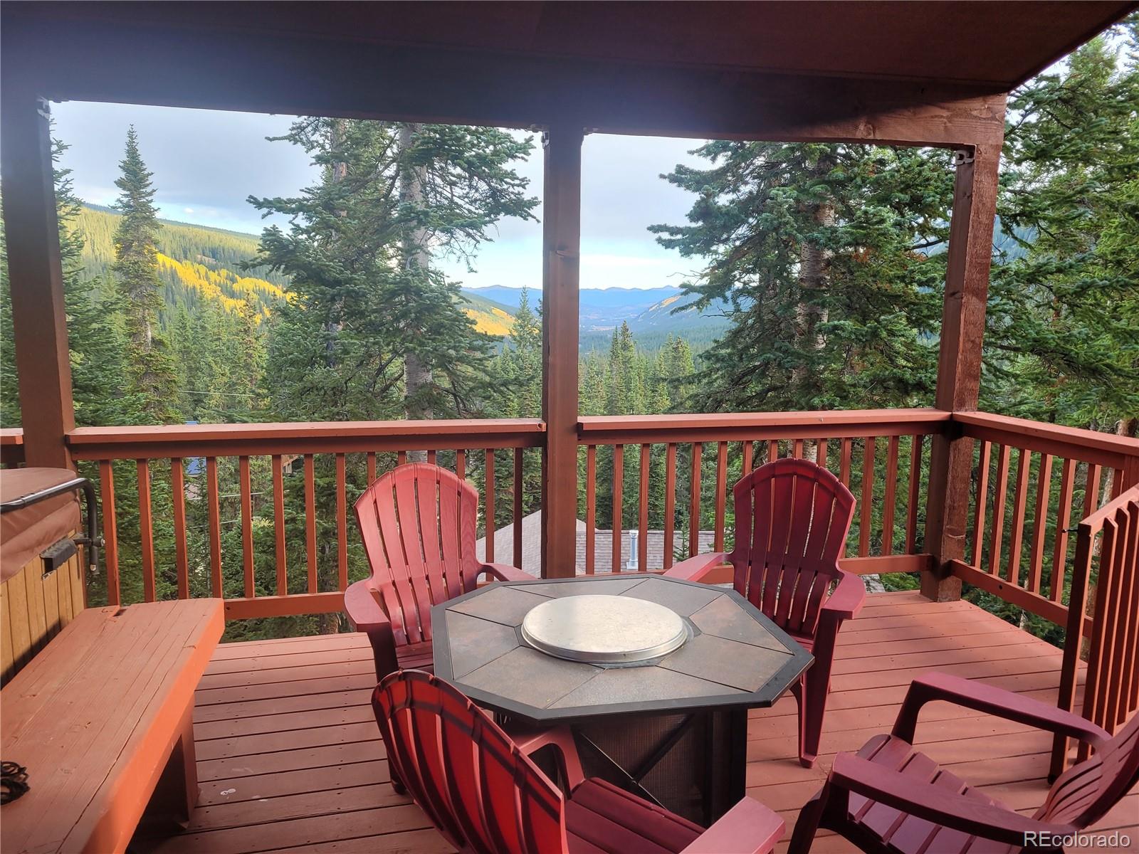 MLS Image #33 for 474  county road 672 ,breckenridge, Colorado