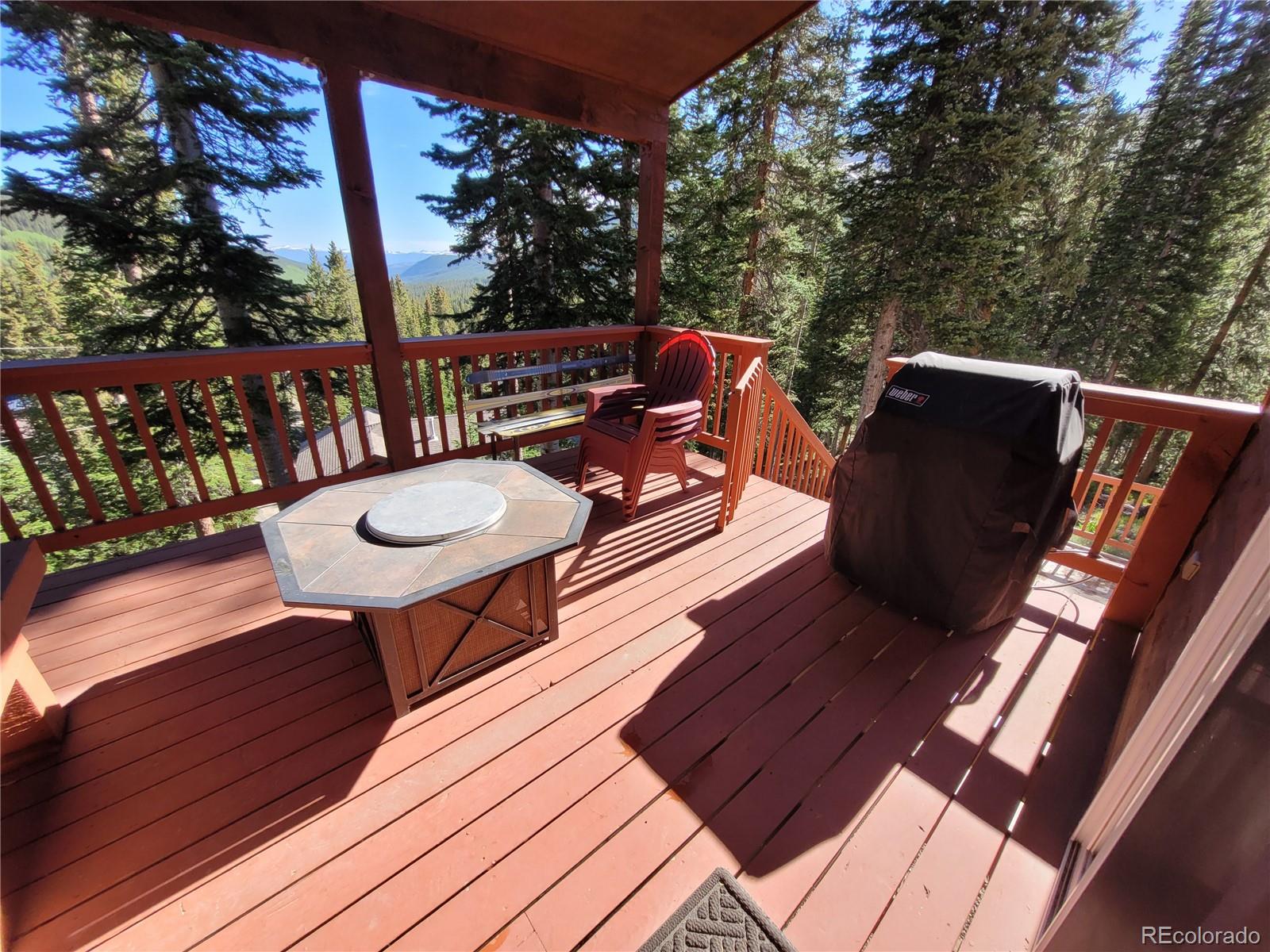 MLS Image #34 for 474  county road 672 ,breckenridge, Colorado