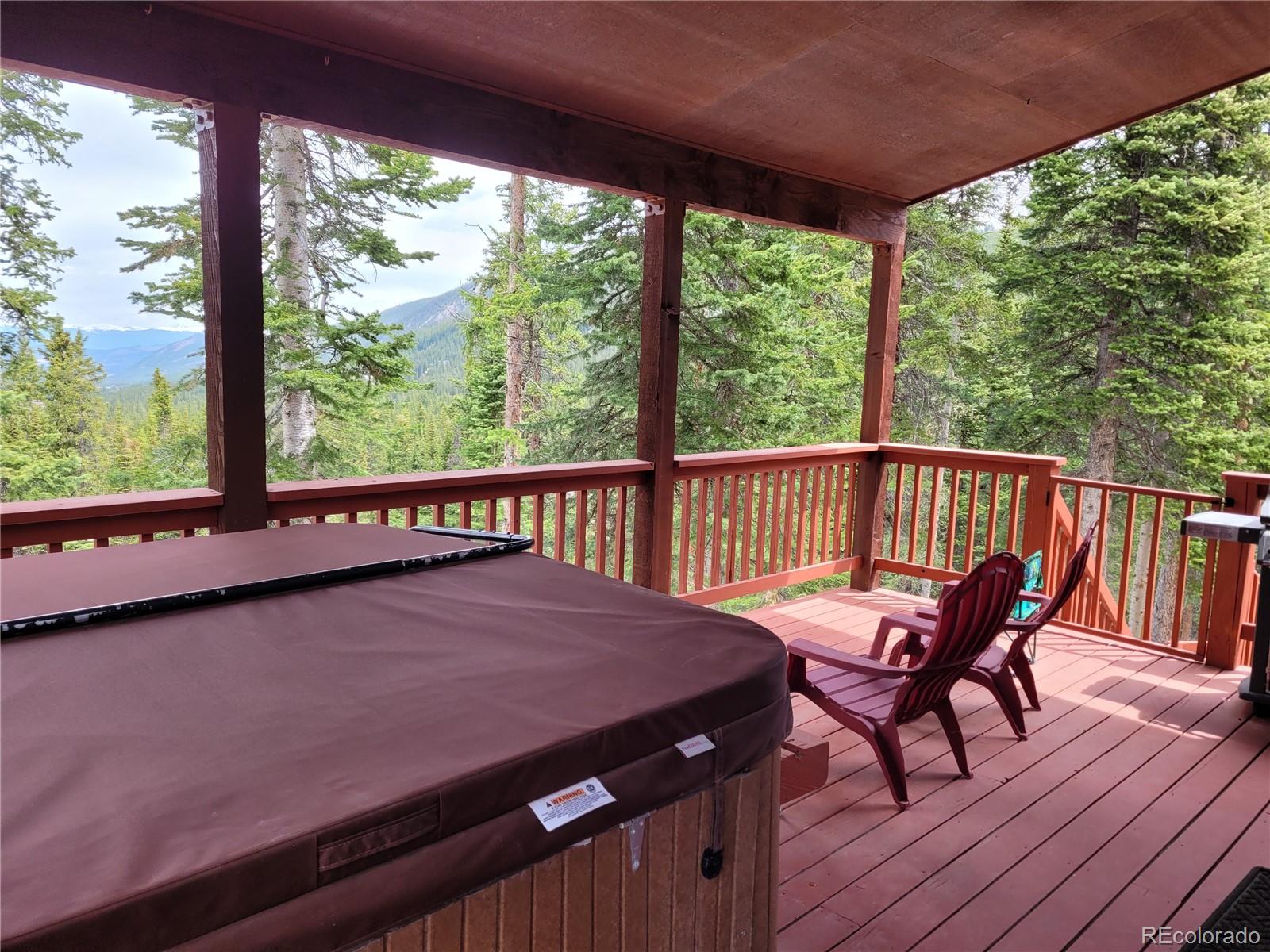 MLS Image #36 for 474  county road 672 ,breckenridge, Colorado