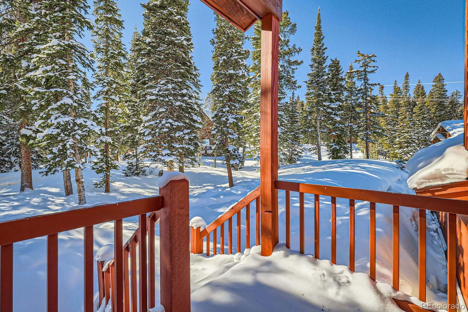 MLS Image #37 for 474  county road 672 ,breckenridge, Colorado