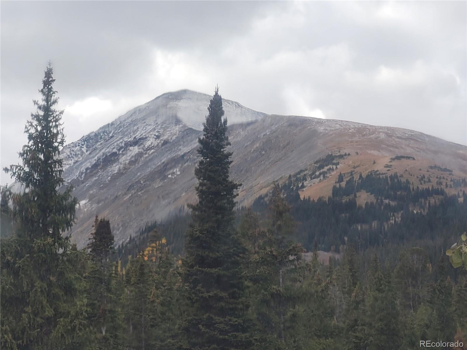 MLS Image #39 for 474  county road 672 ,breckenridge, Colorado