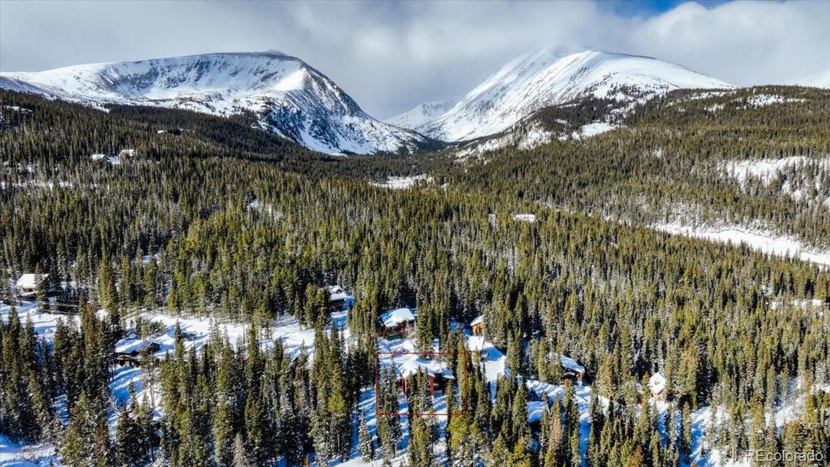 MLS Image #4 for 474  county road 672 ,breckenridge, Colorado