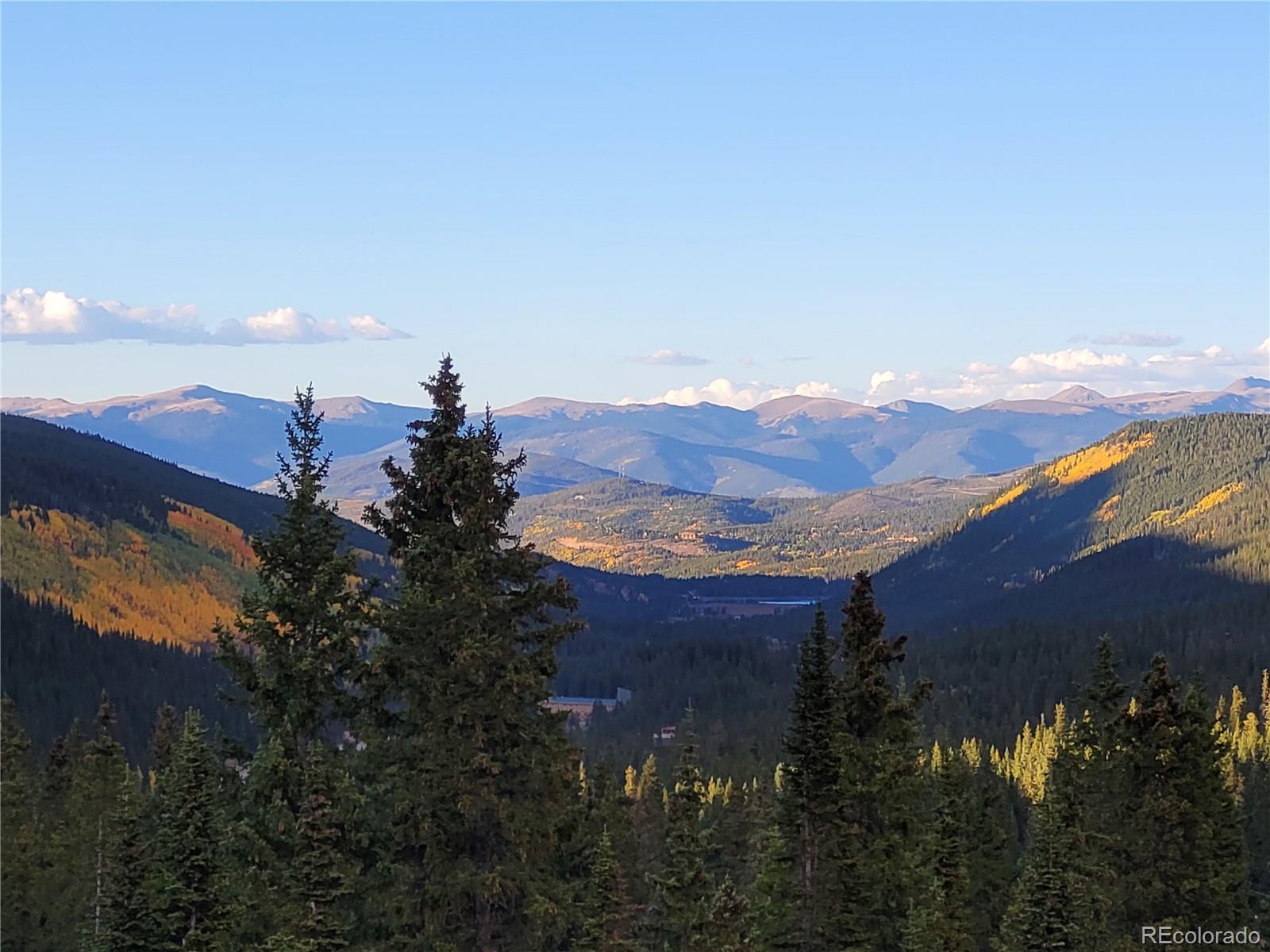 MLS Image #40 for 474  county road 672 ,breckenridge, Colorado