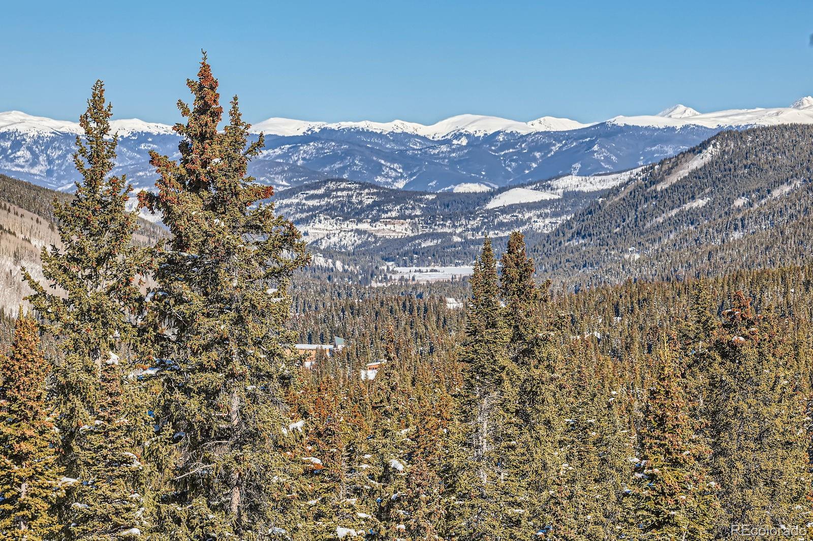 MLS Image #42 for 474  county road 672 ,breckenridge, Colorado