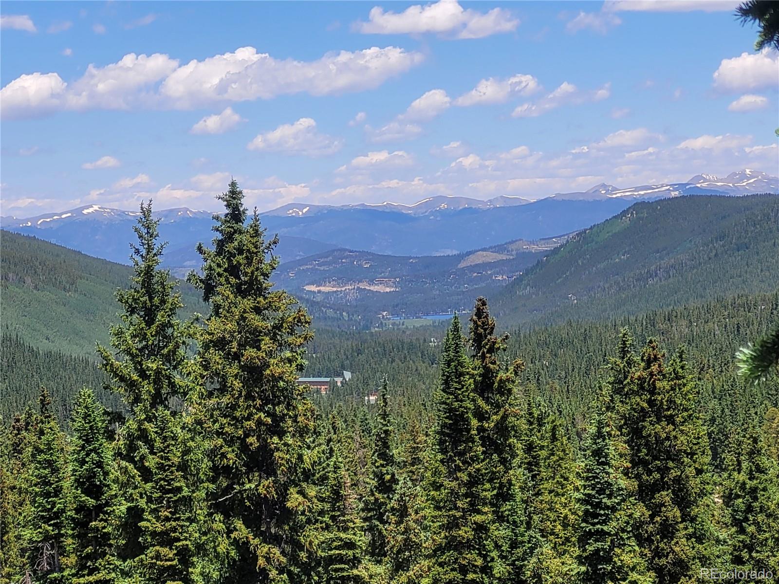 MLS Image #44 for 474  county road 672 ,breckenridge, Colorado