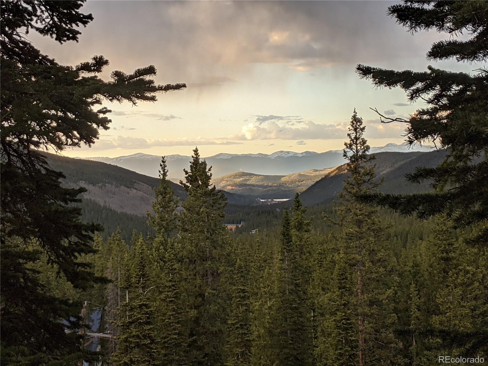 MLS Image #45 for 474  county road 672 ,breckenridge, Colorado