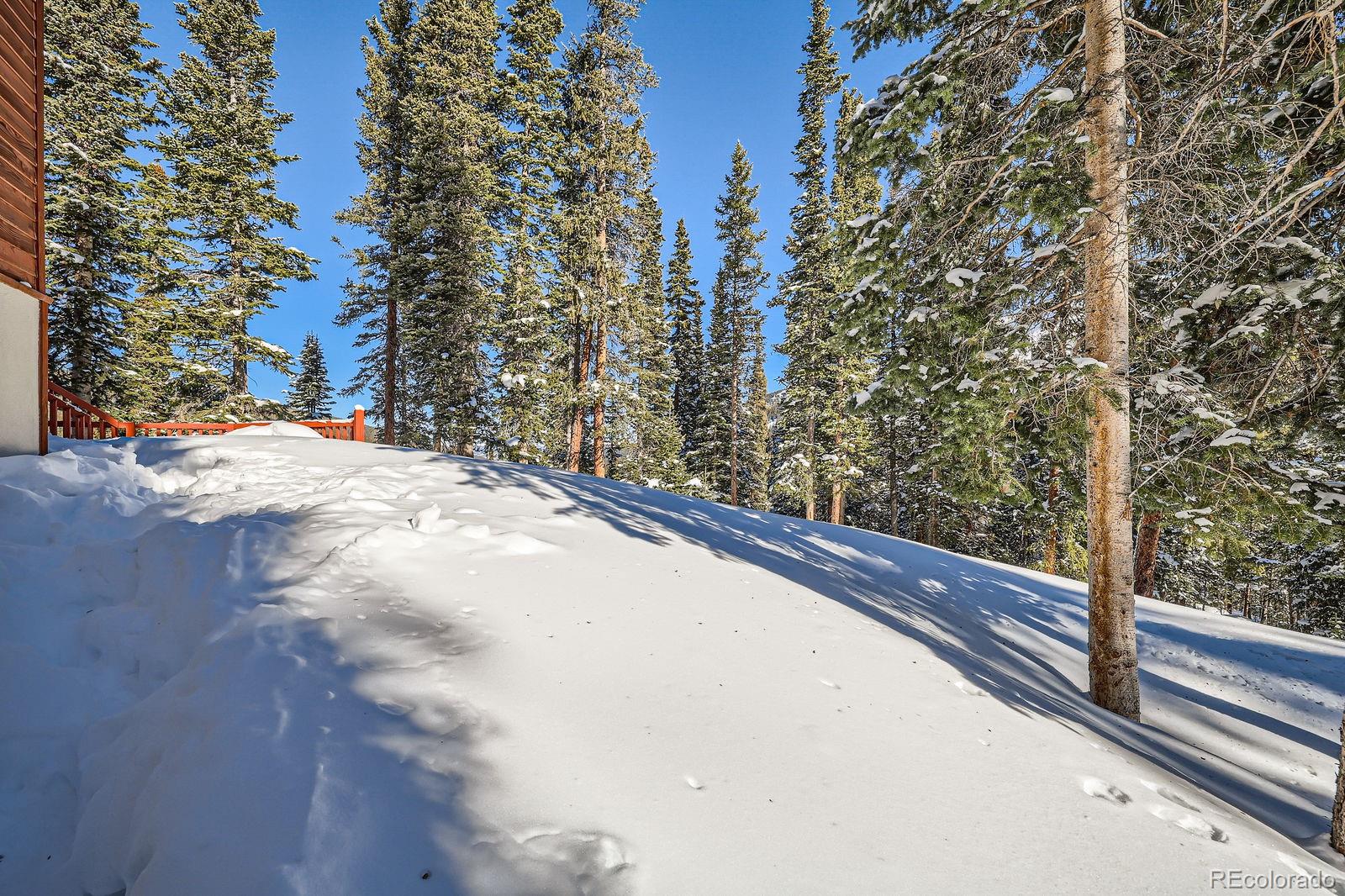 MLS Image #48 for 474  county road 672 ,breckenridge, Colorado