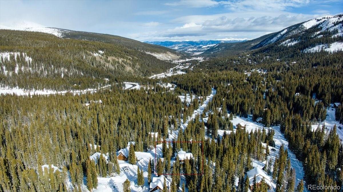 MLS Image #6 for 474  county road 672 ,breckenridge, Colorado