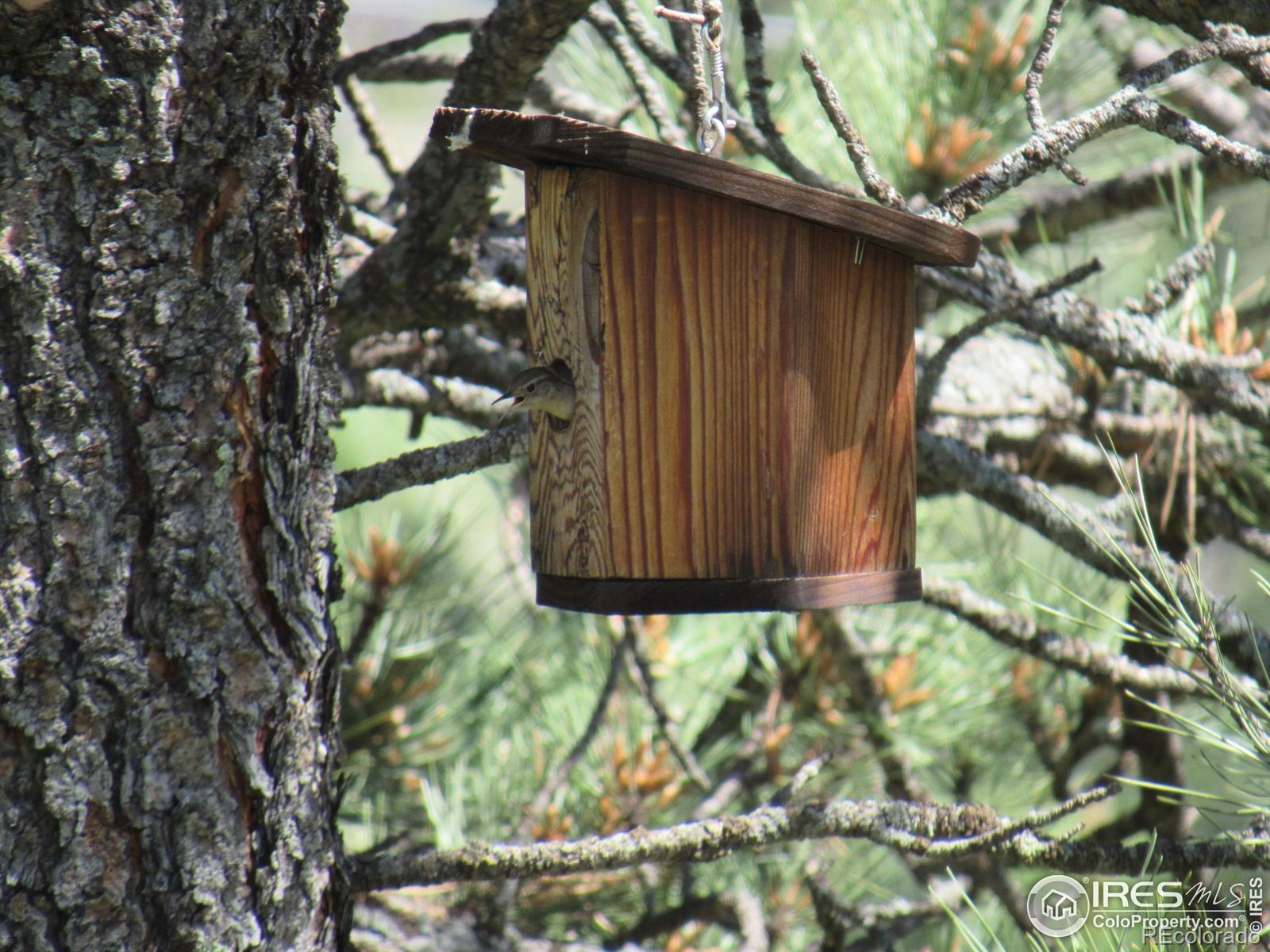 MLS Image #34 for 5933  obenchain road,laporte, Colorado