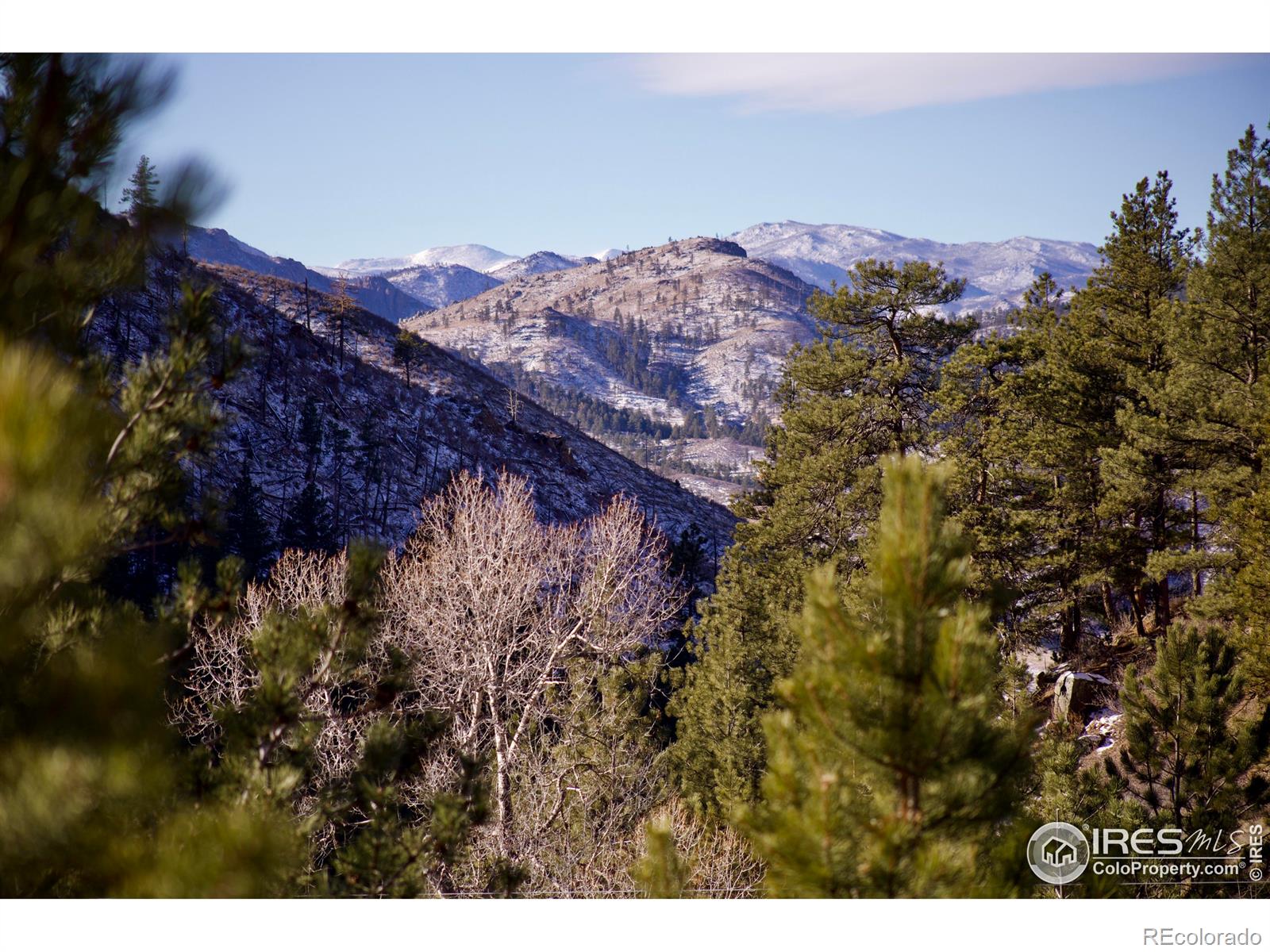 MLS Image #5 for 5933  obenchain road,laporte, Colorado