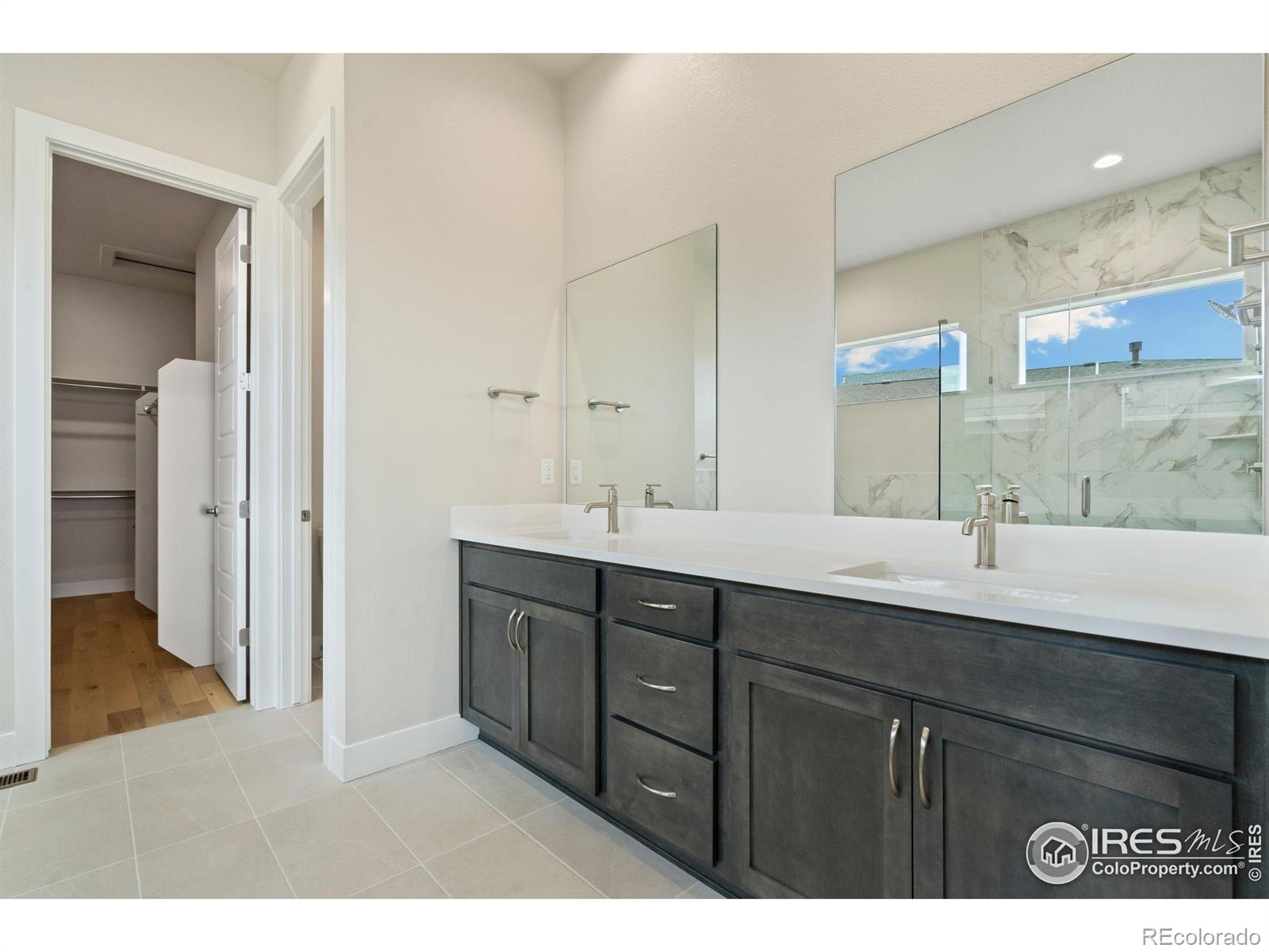 MLS Image #10 for 5841  gianna drive,timnath, Colorado